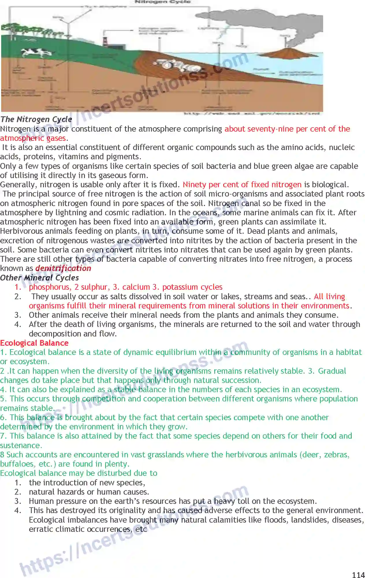 NCERT-Notes-Class-11-Geography-Life-On-Earth-359-page-6