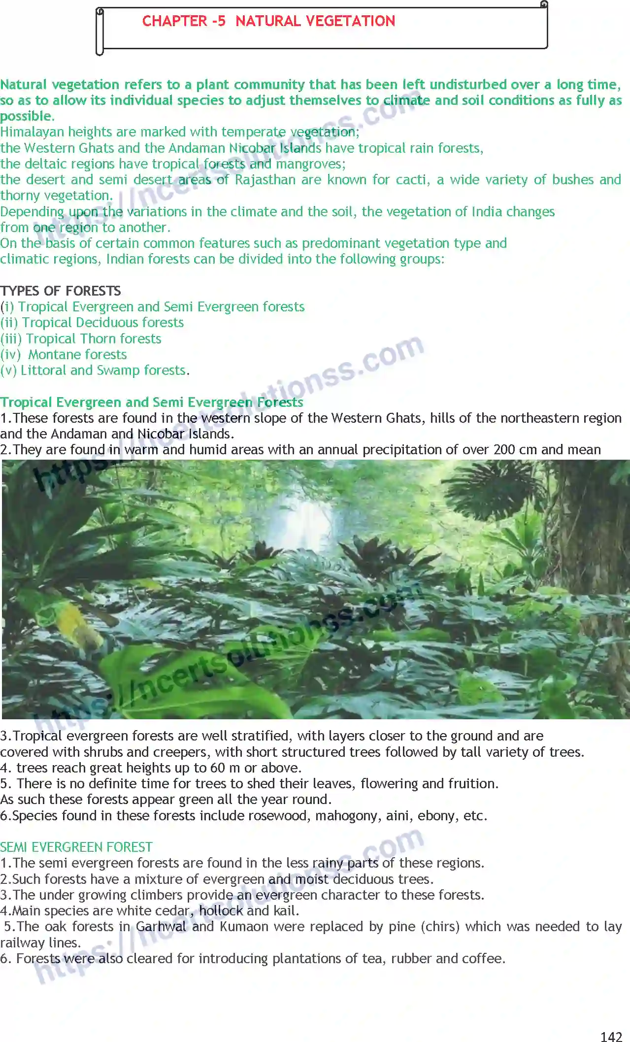 NCERT-Notes-Class-11-Geography-Natural-Vegetation-363-page-1