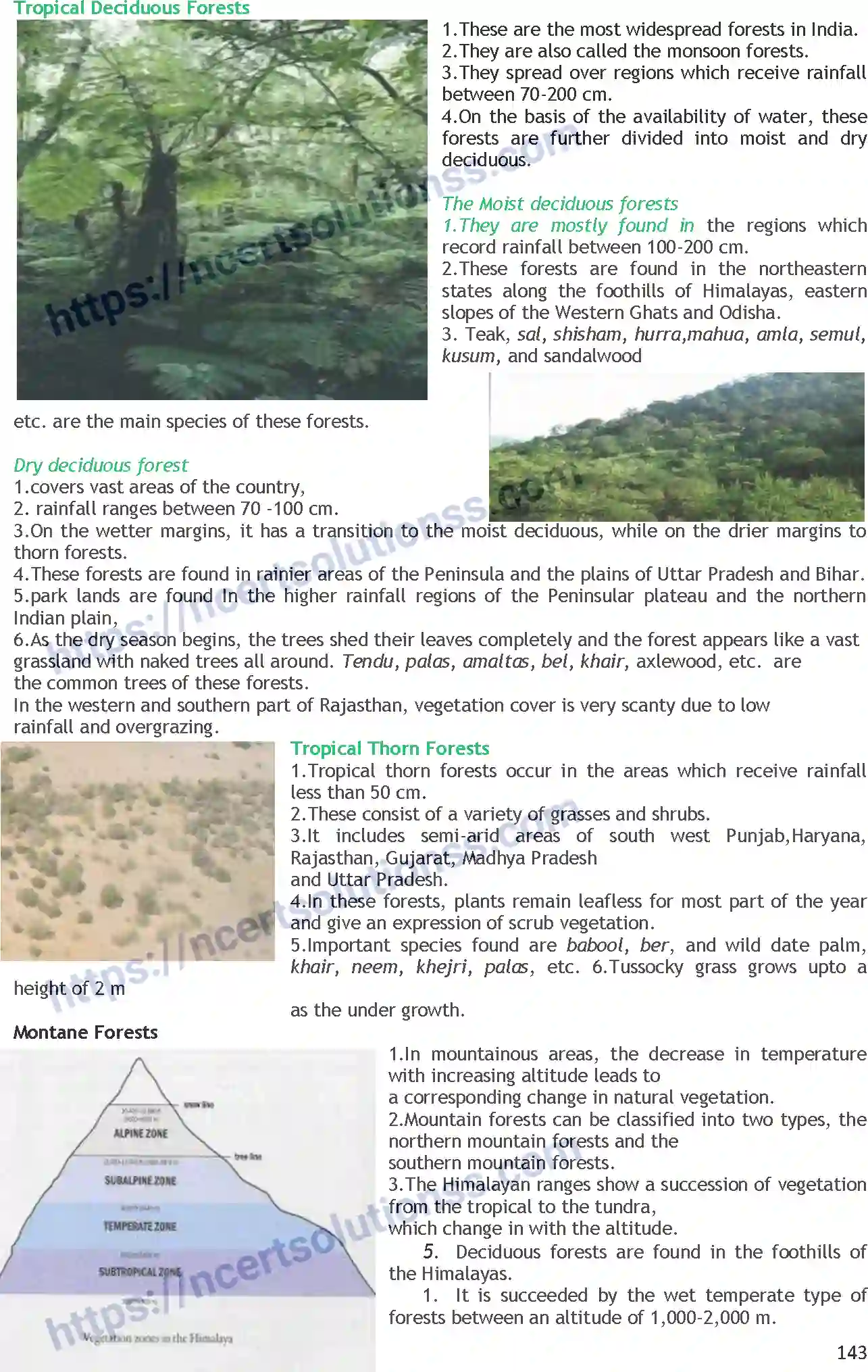 NCERT-Notes-Class-11-Geography-Natural-Vegetation-363-page-2