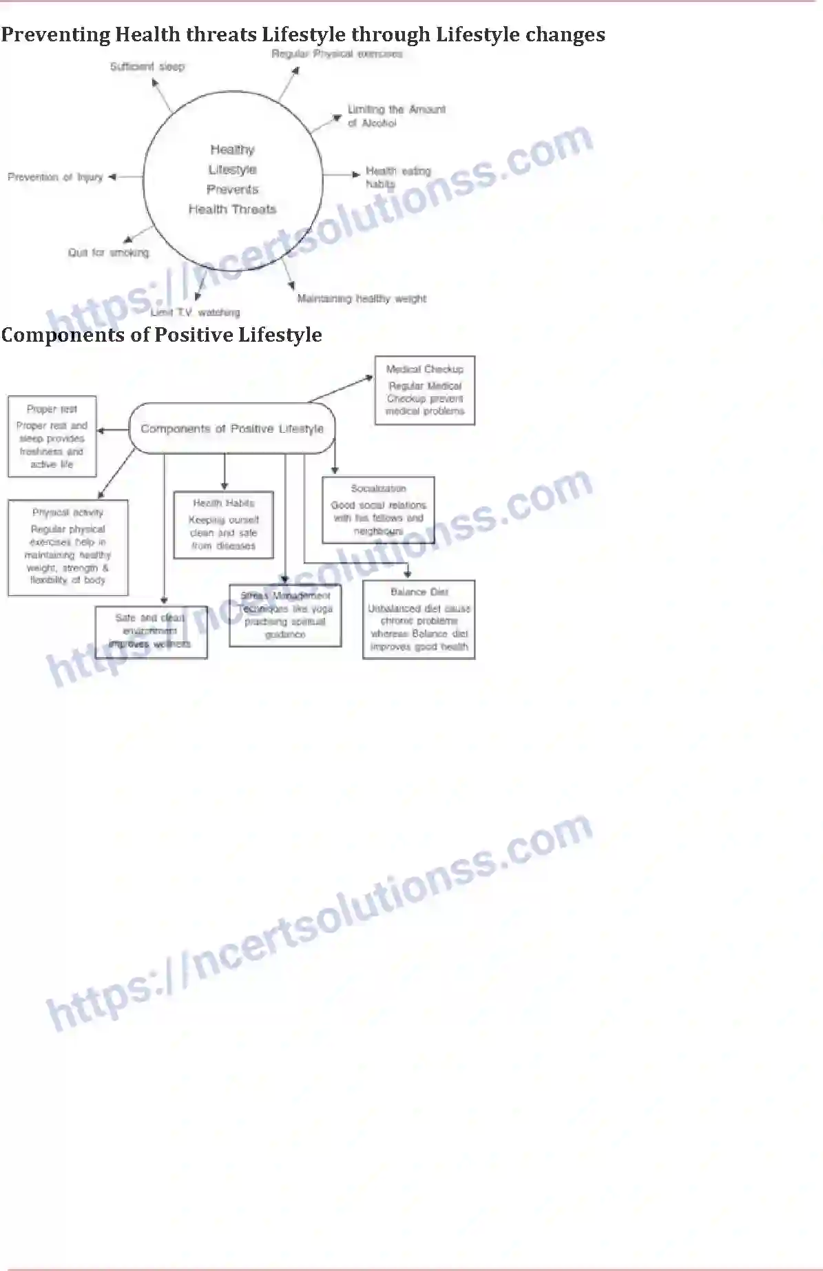 NCERT-Notes-Class-11-Physical-Education-Physical-Fitness-Wellness-and-Lifestyle-410-page-3
