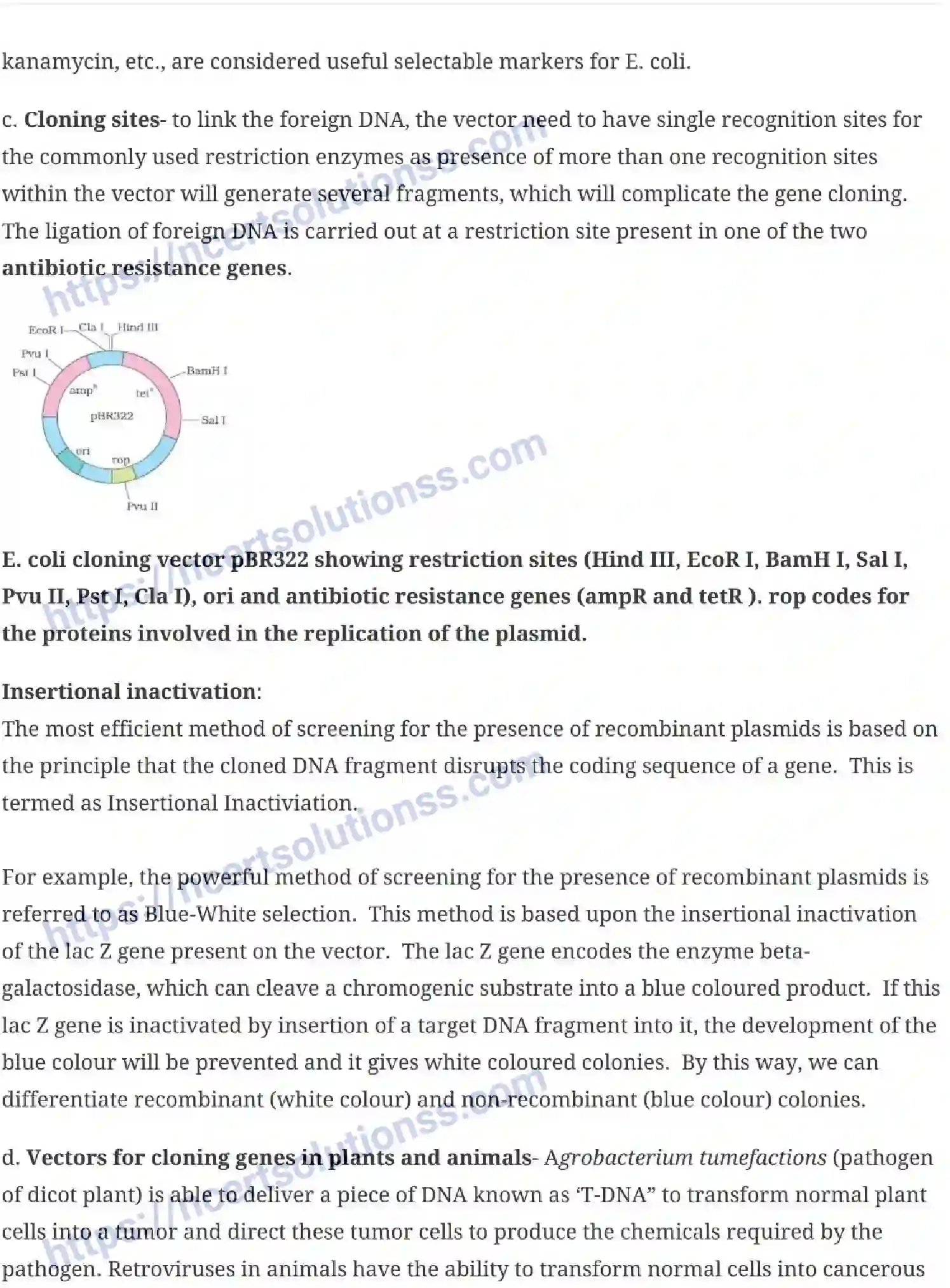 NCERT-Notes-Class-12-Biology-Biotechnology-Principles-and-Processes-24-page-6