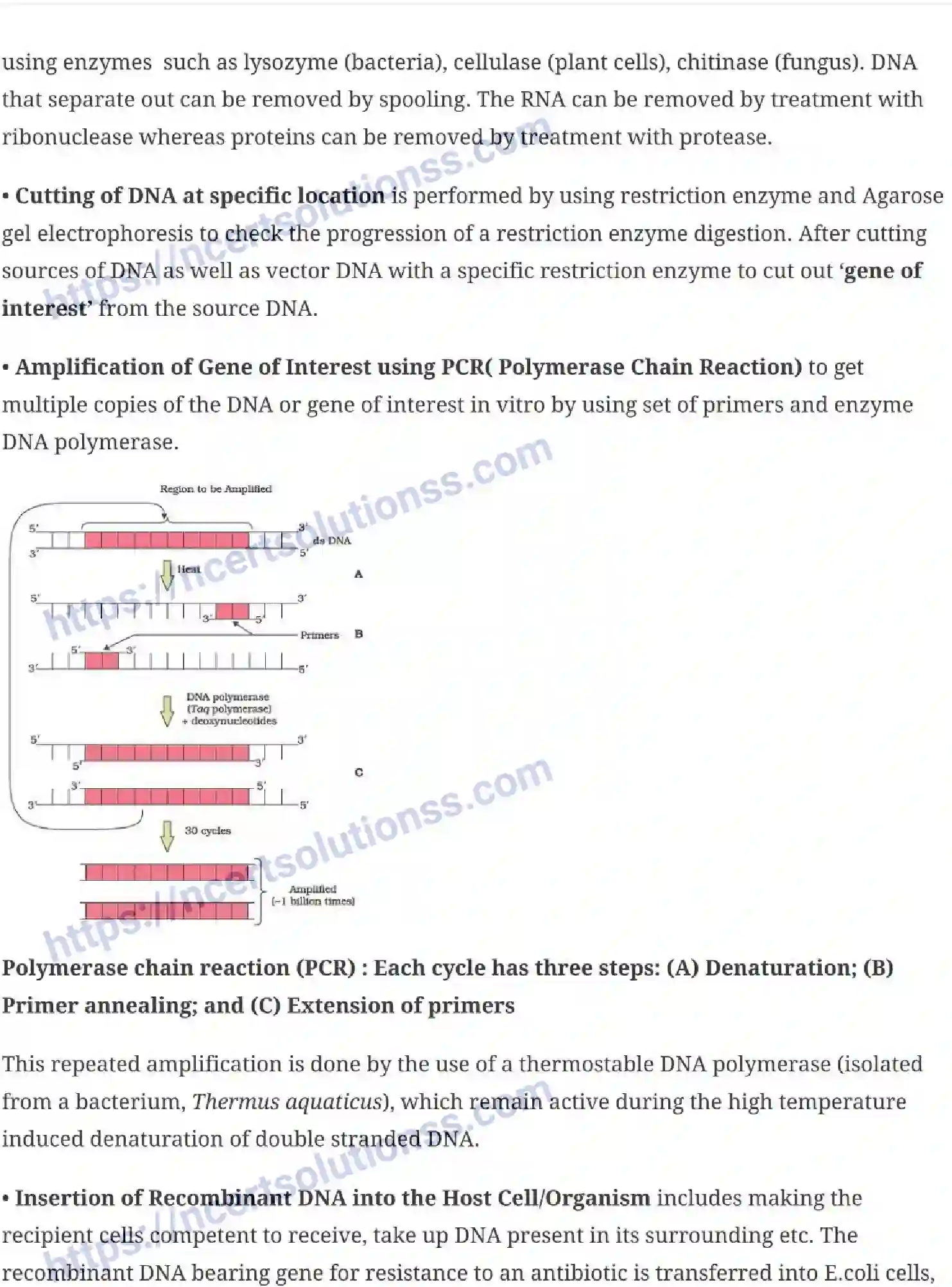 NCERT-Notes-Class-12-Biology-Biotechnology-Principles-and-Processes-24-page-8
