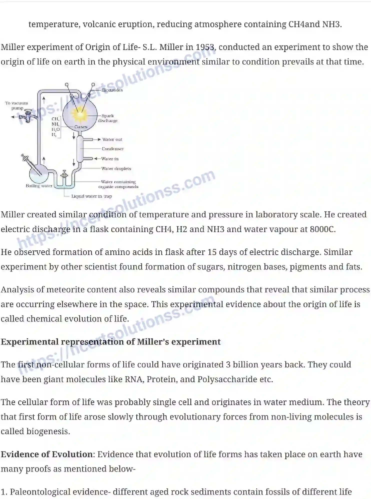 NCERT-Notes-Class-12-Biology-Evolution-20-page-2