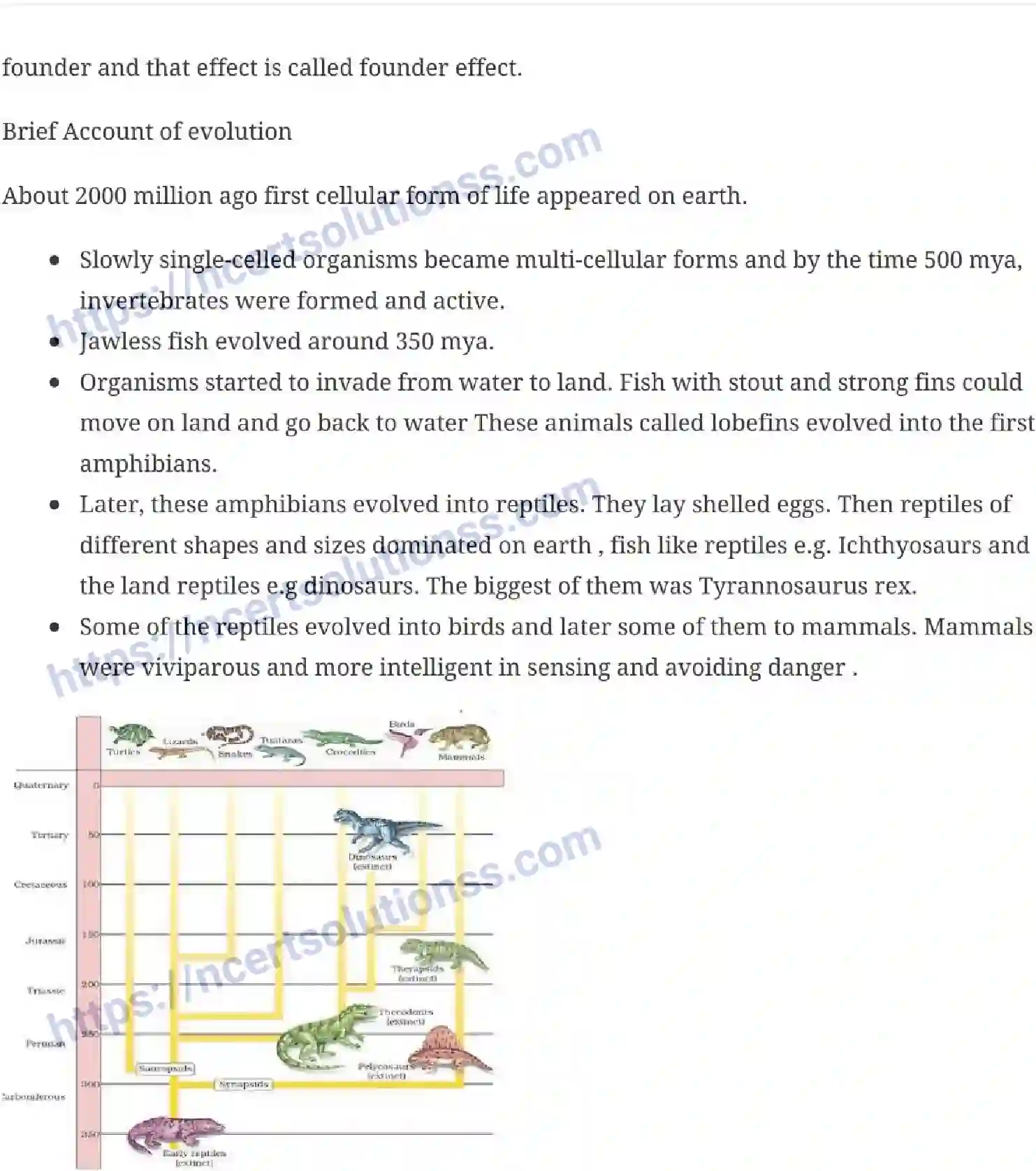 NCERT-Notes-Class-12-Biology-Evolution-20-page-9
