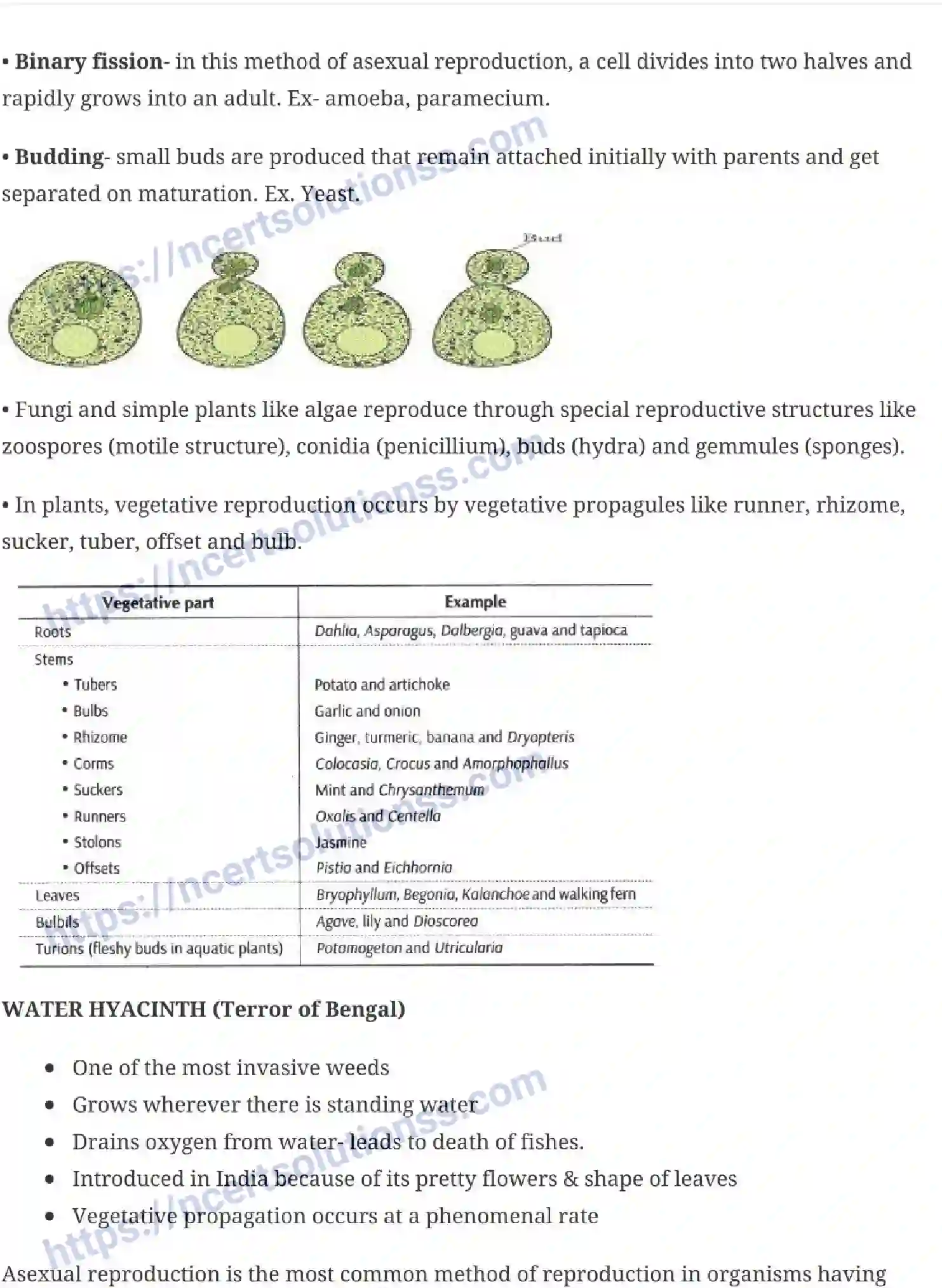 NCERT-Notes-Class-12-Biology-Reproduction-in-Organisms-14-page-2