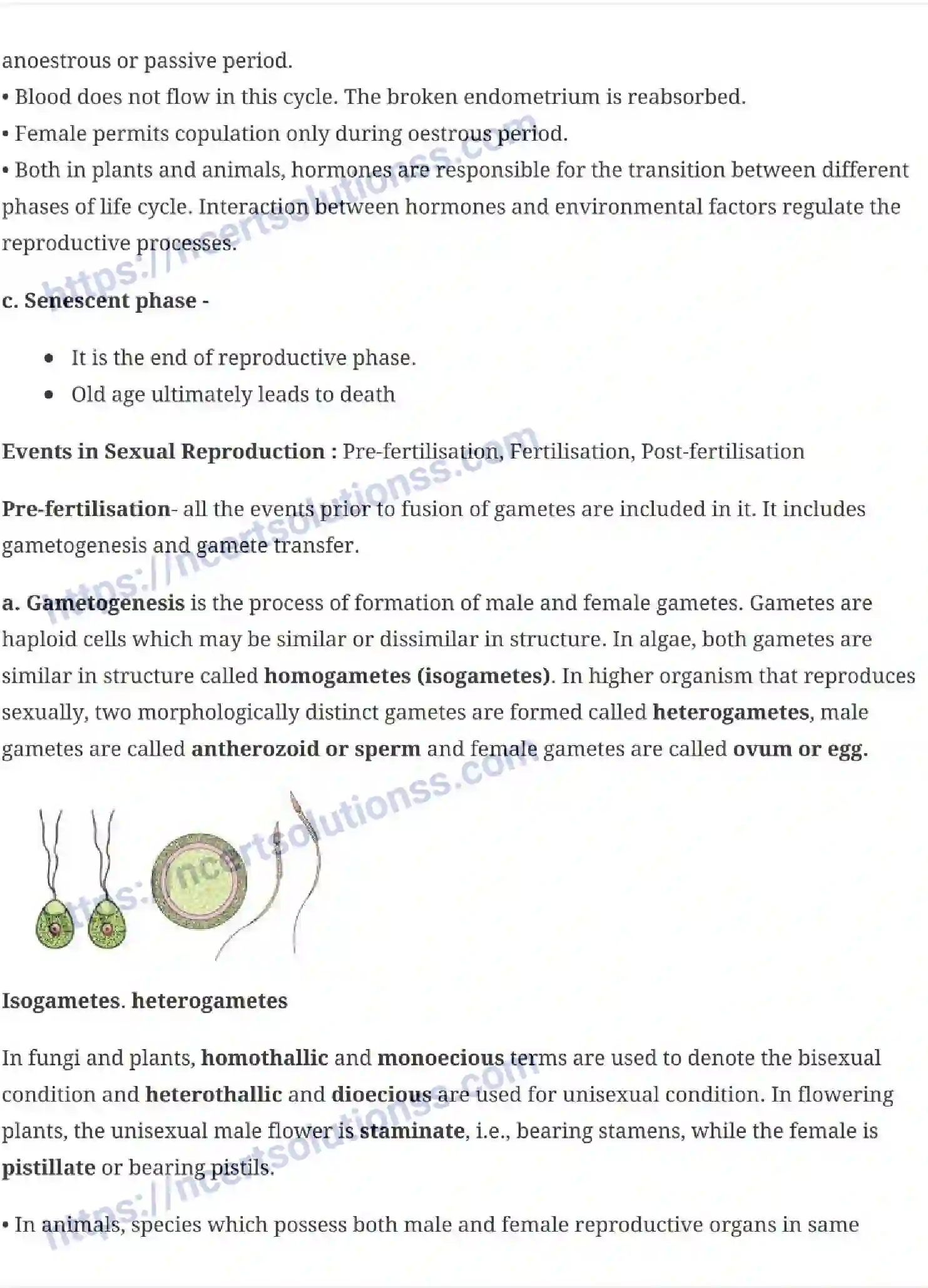 NCERT-Notes-Class-12-Biology-Reproduction-in-Organisms-14-page-4