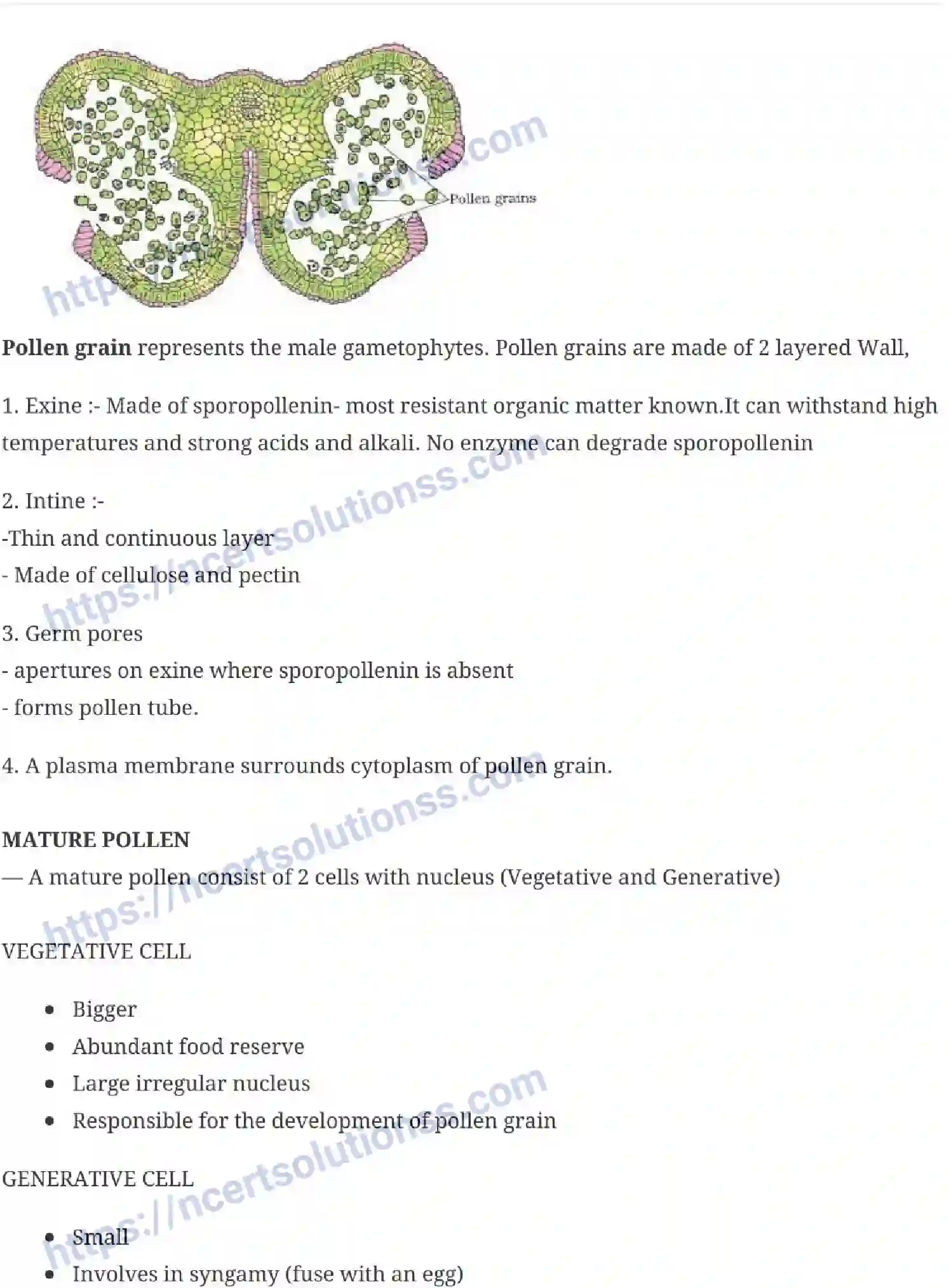 NCERT-Notes-Class-12-Biology-Sexual-Reproduction-in-Flowering-Plants-15-page-3