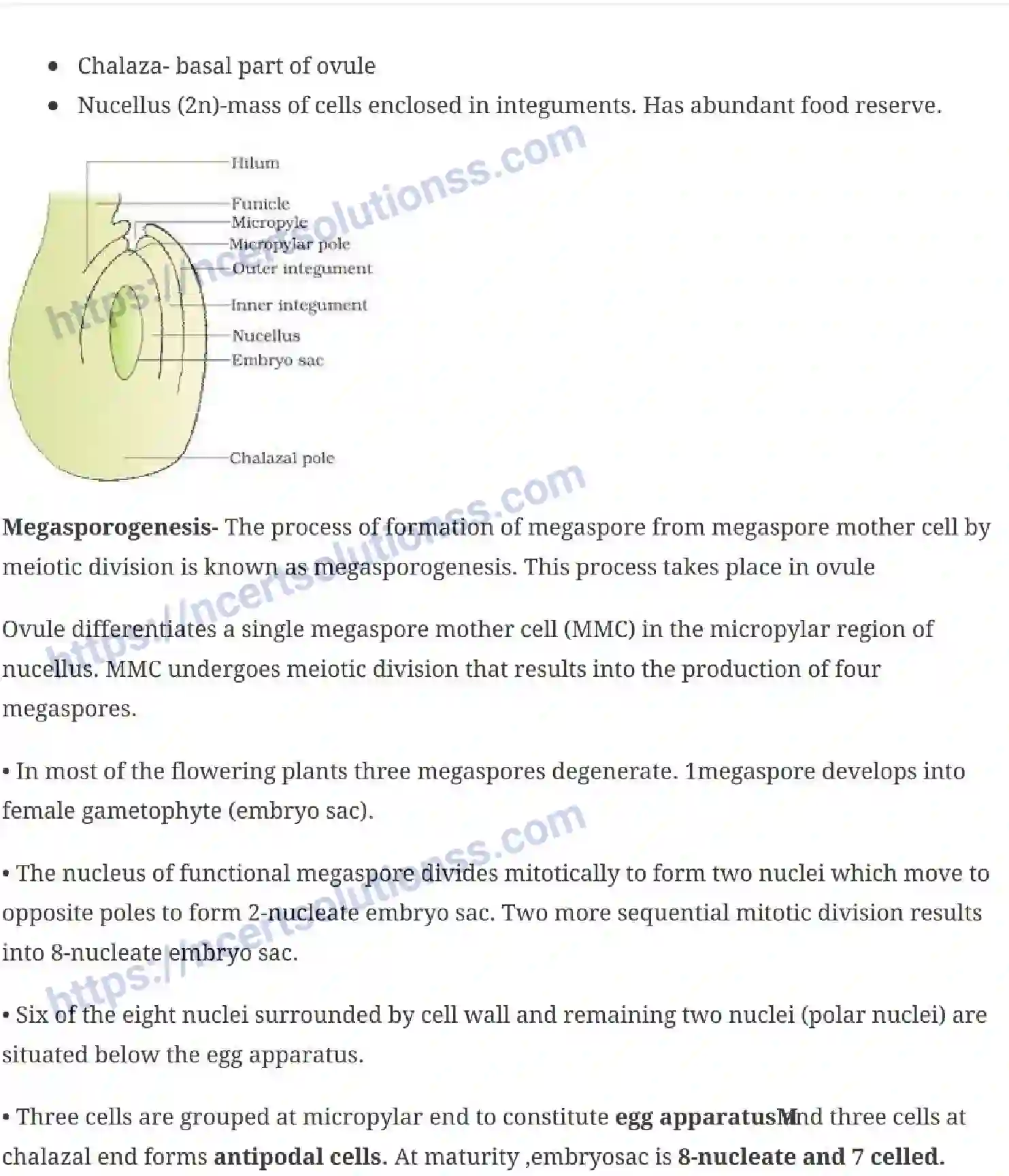 NCERT-Notes-Class-12-Biology-Sexual-Reproduction-in-Flowering-Plants-15-page-5