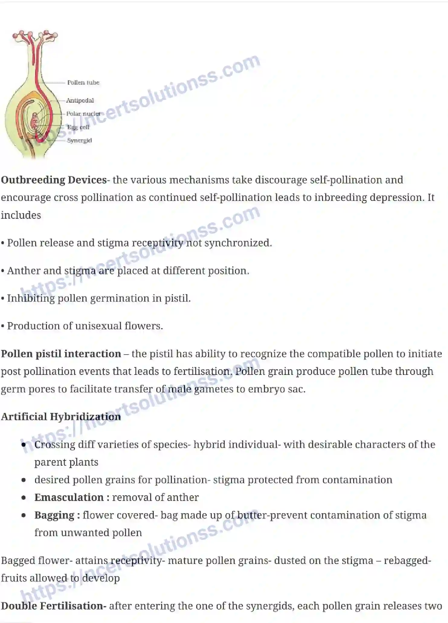 NCERT-Notes-Class-12-Biology-Sexual-Reproduction-in-Flowering-Plants-15-page-8