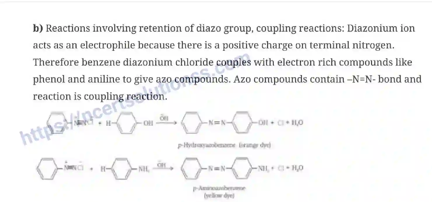 NCERT-Notes-Class-12-Chemistry-Amines-42-page-11