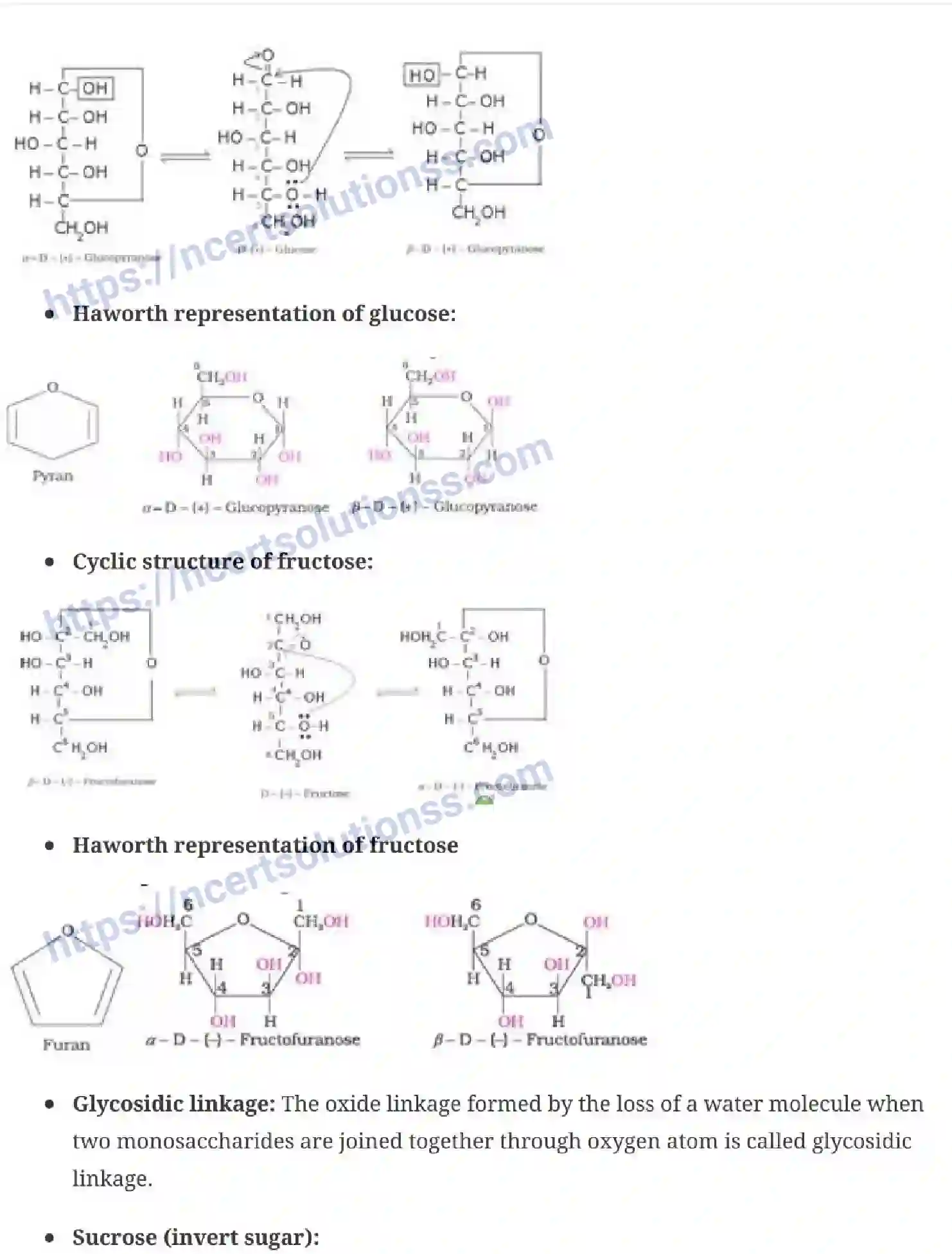 NCERT-Notes-Class-12-Chemistry-Biomolecules-43-page-5