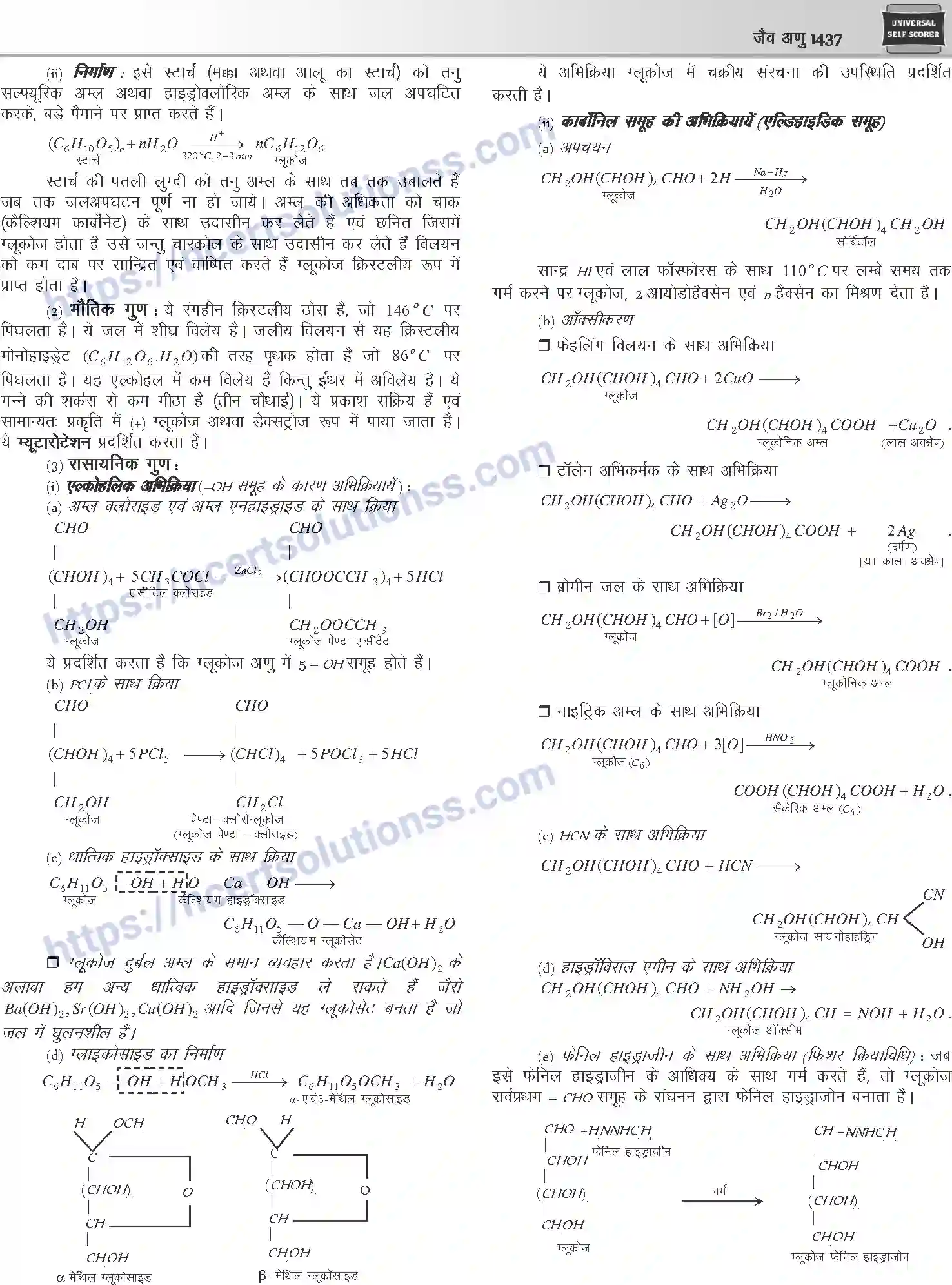 NCERT-Notes-Class-12-Chemistry-जैवअणु-1101-page-2