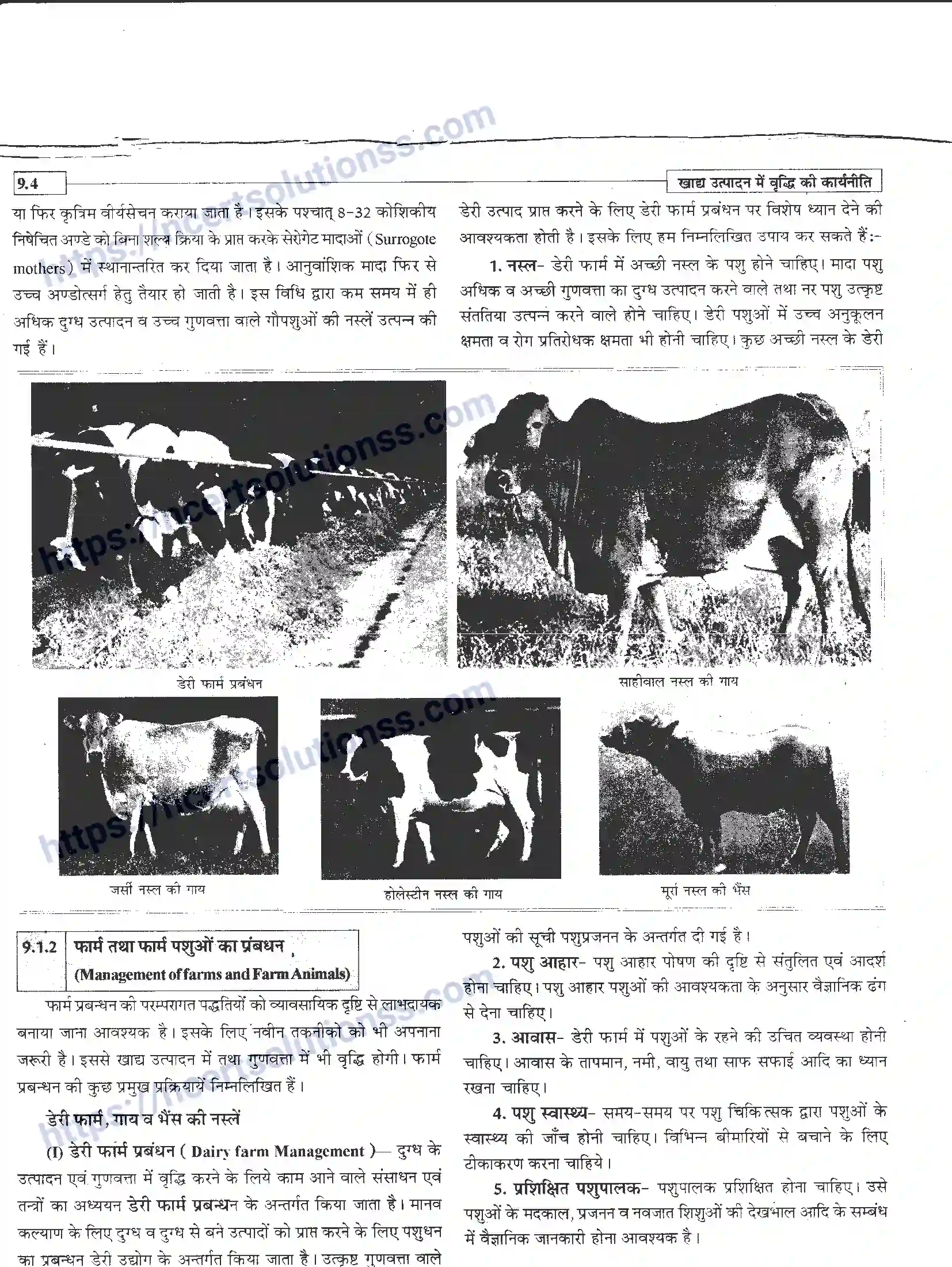 NCERT-Notes-Class-12-जीवand-विज्ञान-खाध-उत्पादन-में-वृद्धि-कार्यनीति-947-page-4
