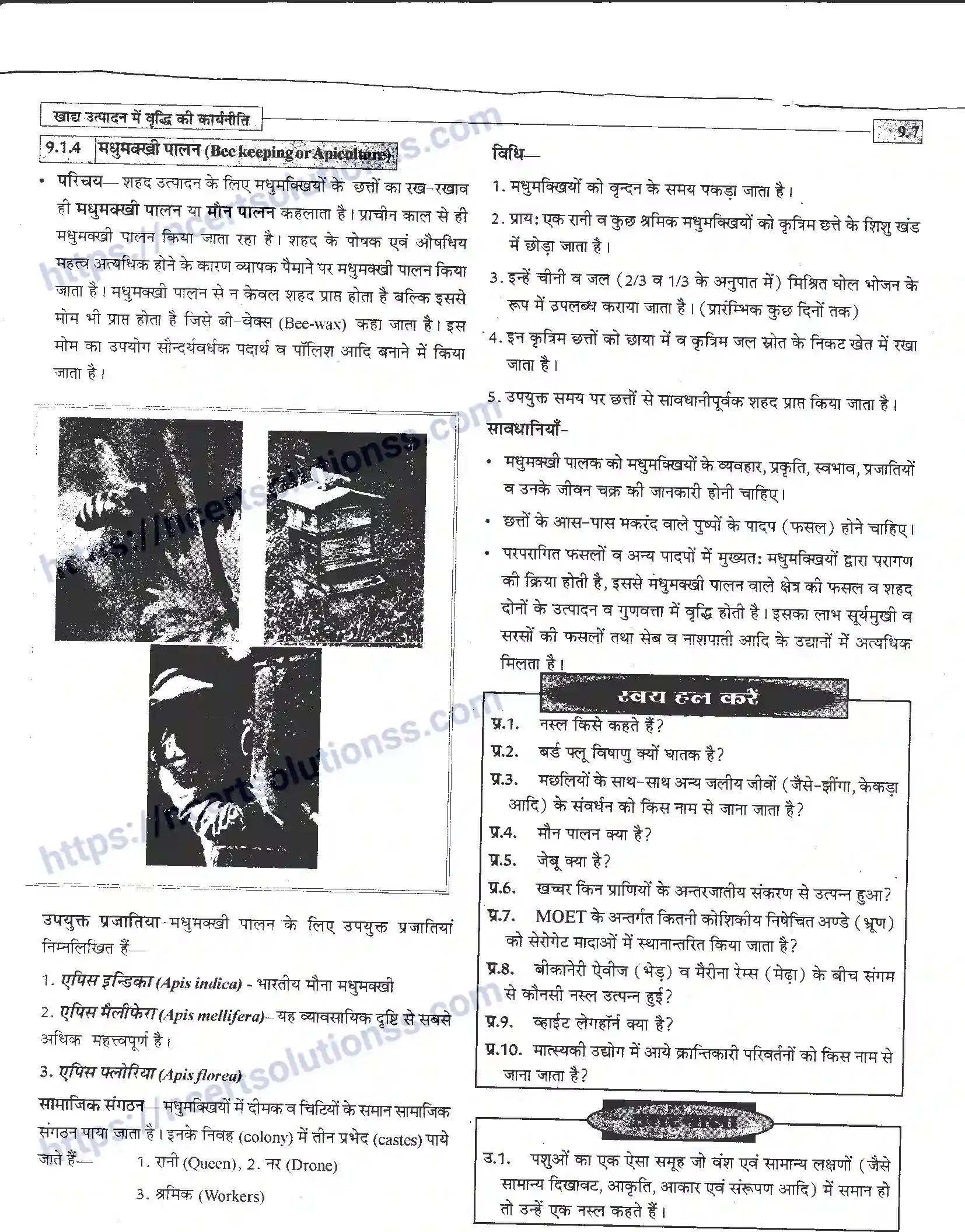 NCERT-Notes-Class-12-जीवand-विज्ञान-खाध-उत्पादन-में-वृद्धि-कार्यनीति-947-page-7
