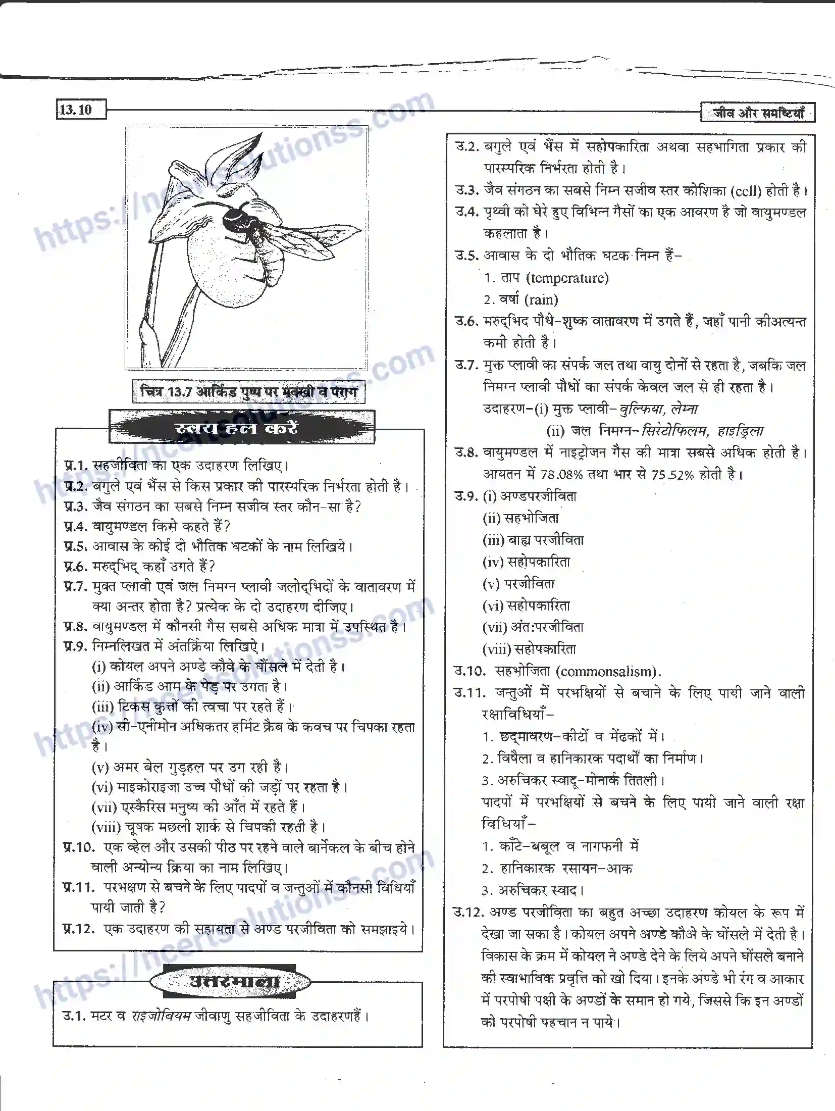 NCERT-Notes-Class-12-जीवand-विज्ञान-जीव-और-समष्टिया-951-page-10