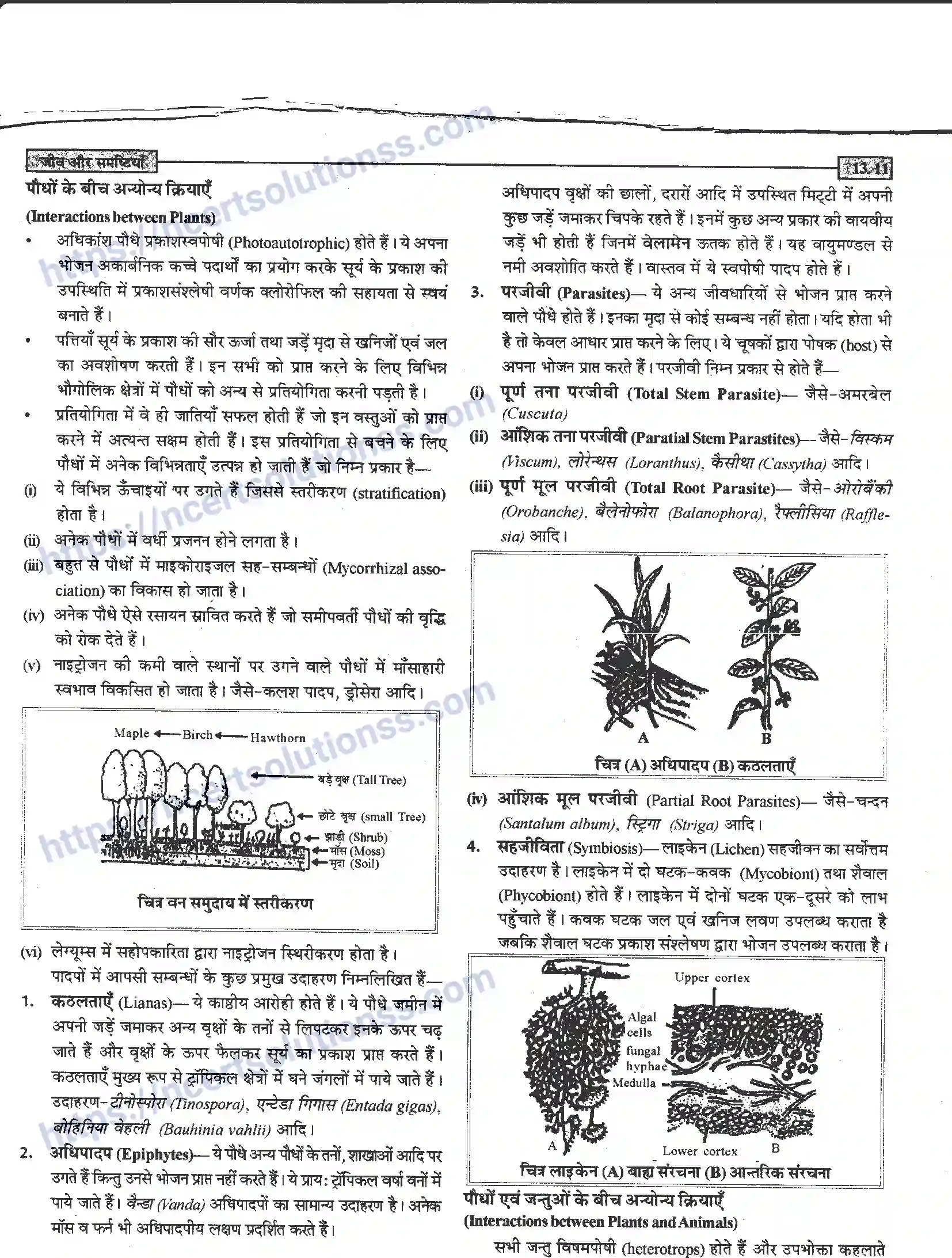 NCERT-Notes-Class-12-जीवand-विज्ञान-जीव-और-समष्टिया-951-page-11