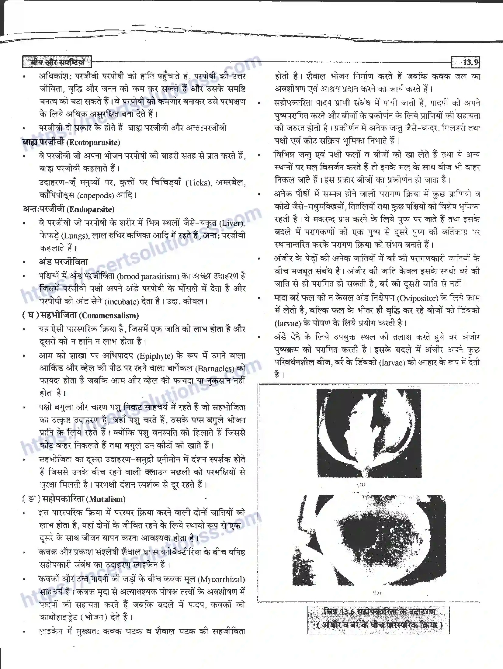 NCERT-Notes-Class-12-जीवand-विज्ञान-जीव-और-समष्टिया-951-page-9