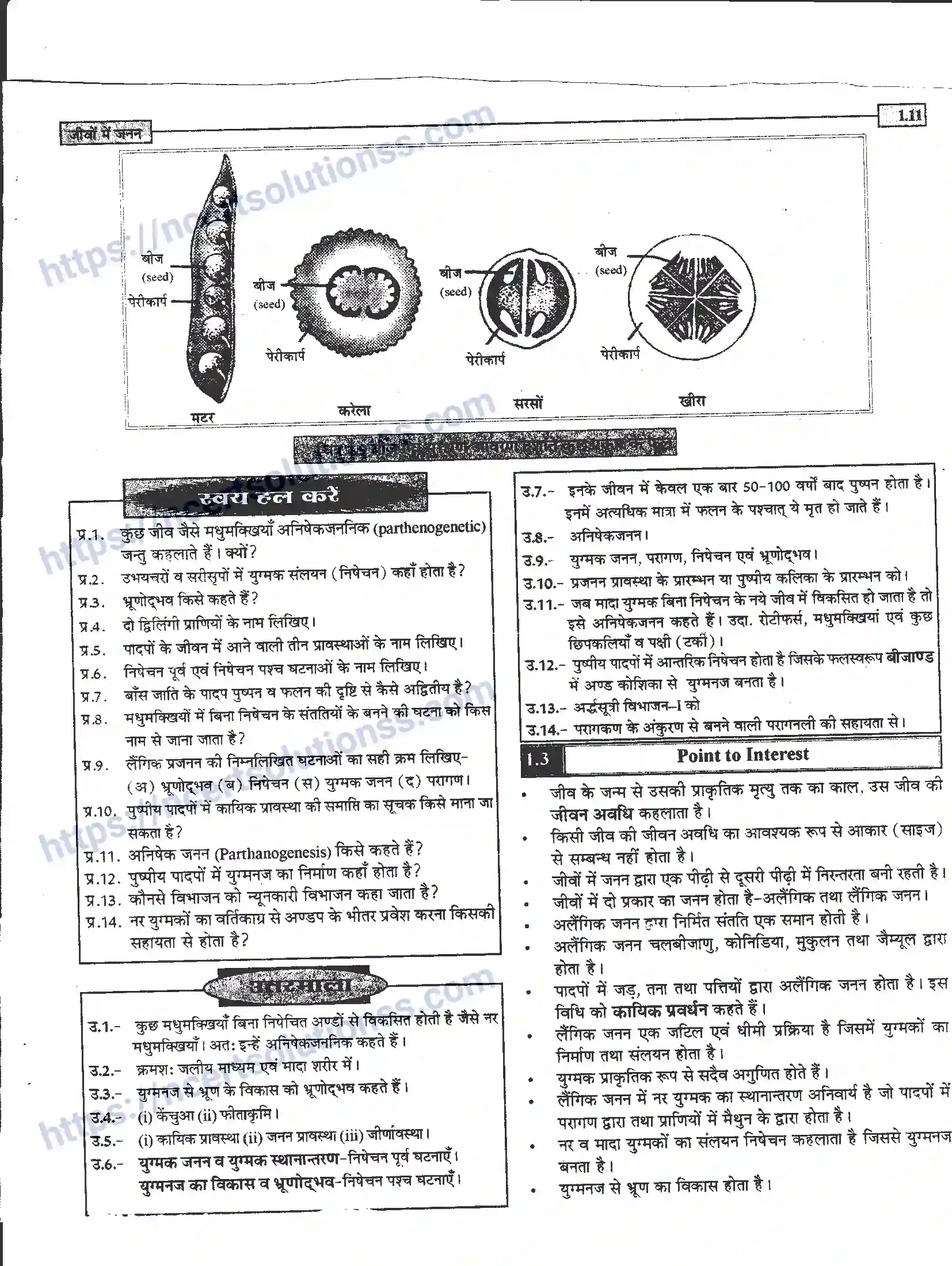 NCERT-Notes-Class-12-जीवand-विज्ञान-जीवों-मैं-जनन-939-page-11