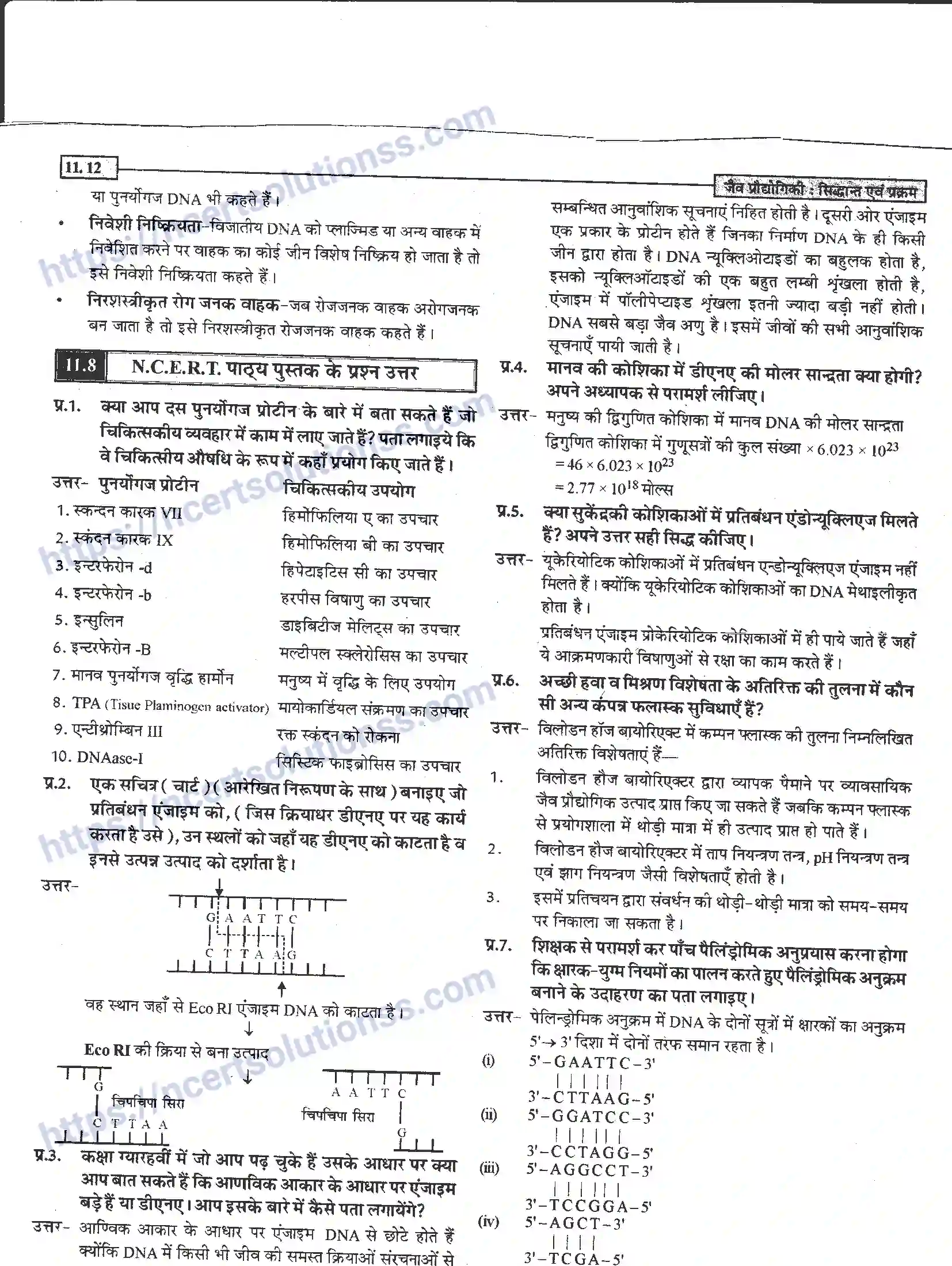 NCERT-Notes-Class-12-जीवand-विज्ञान-जैव-प्रोधोगिकीand--सिद्धान्त-एवं-प्रक्रम-949-page-12