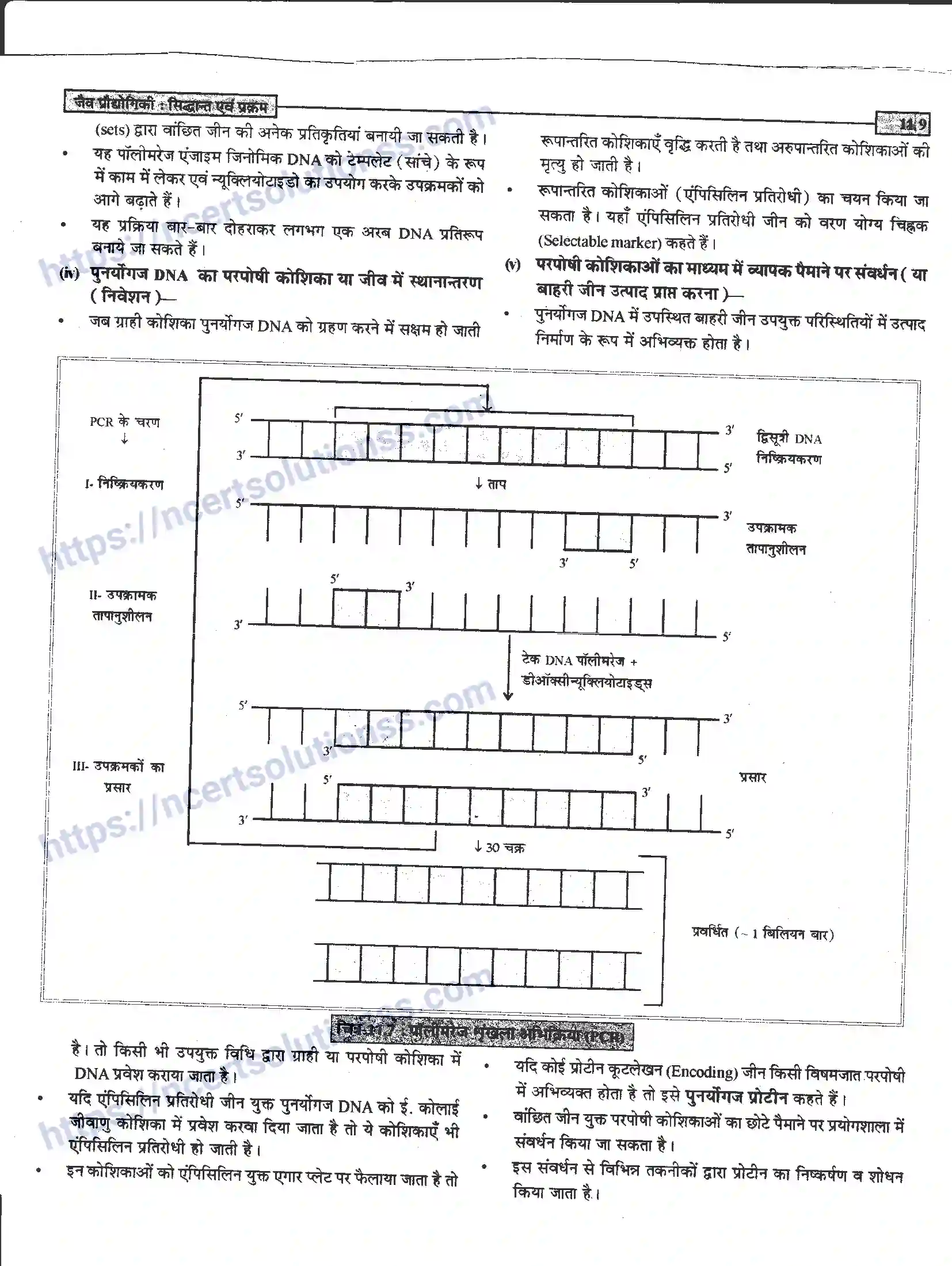 NCERT-Notes-Class-12-जीवand-विज्ञान-जैव-प्रोधोगिकीand--सिद्धान्त-एवं-प्रक्रम-949-page-9