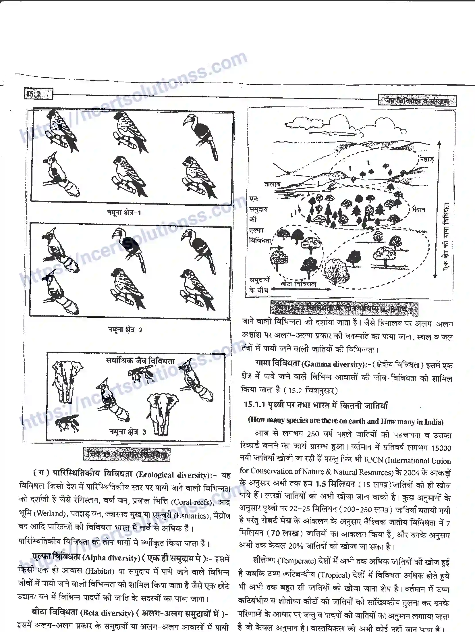 NCERT-Notes-Class-12-जीवand-विज्ञान-जैव-विविधता-व-संरक्षण-953-page-2