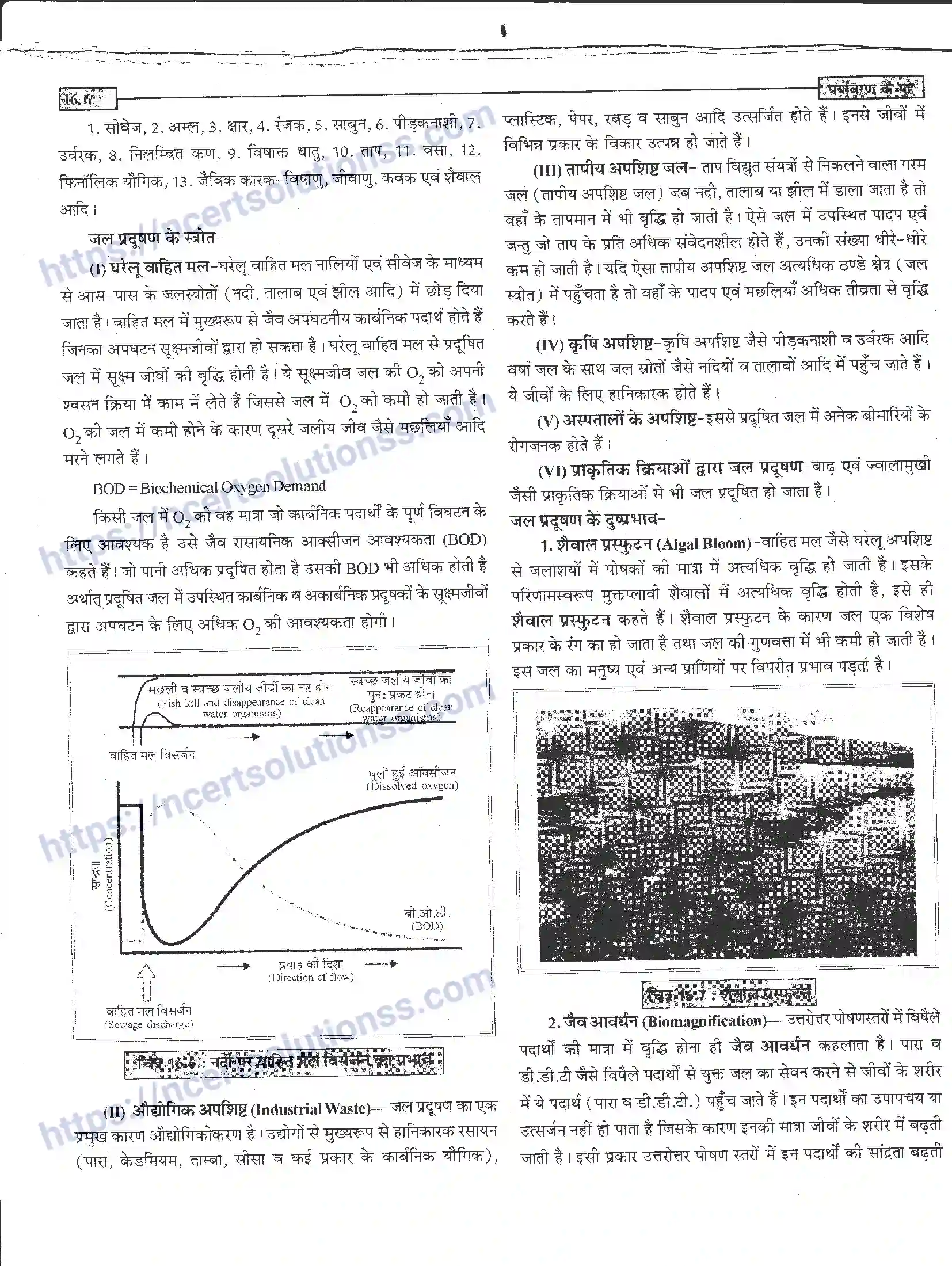 NCERT-Notes-Class-12-जीवand-विज्ञान-पर्यावरण-के-मुद्दे-954-page-6