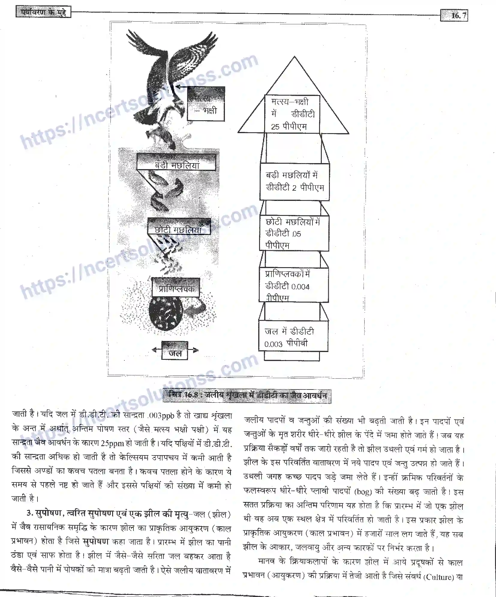 NCERT-Notes-Class-12-जीवand-विज्ञान-पर्यावरण-के-मुद्दे-954-page-7