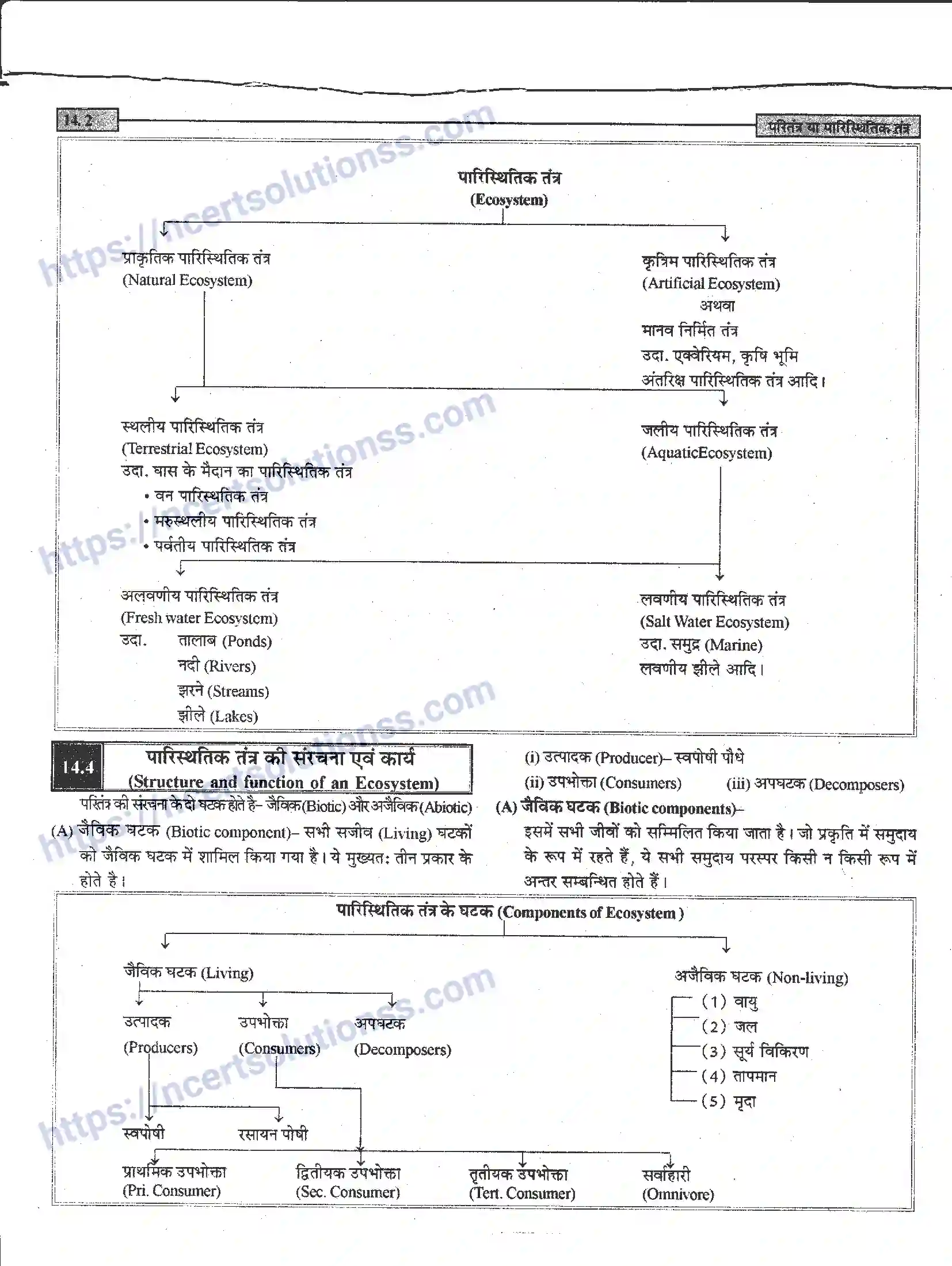 NCERT-Notes-Class-12-जीवand-विज्ञान-पारितंत्र-या-पारिस्थितिक-तंत्र-952-page-2