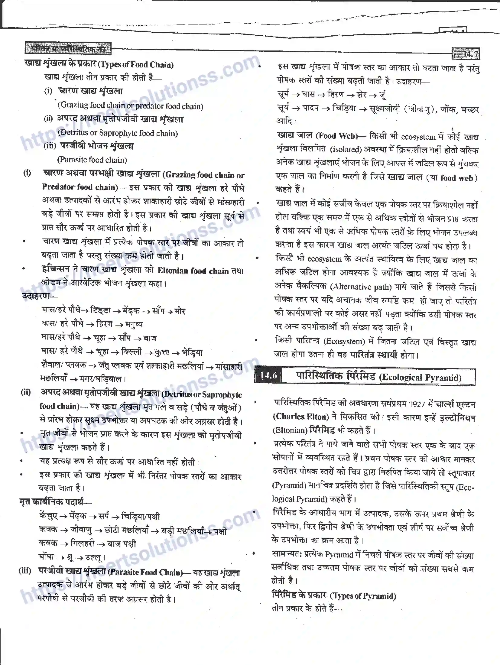 NCERT-Notes-Class-12-जीवand-विज्ञान-पारितंत्र-या-पारिस्थितिक-तंत्र-952-page-7