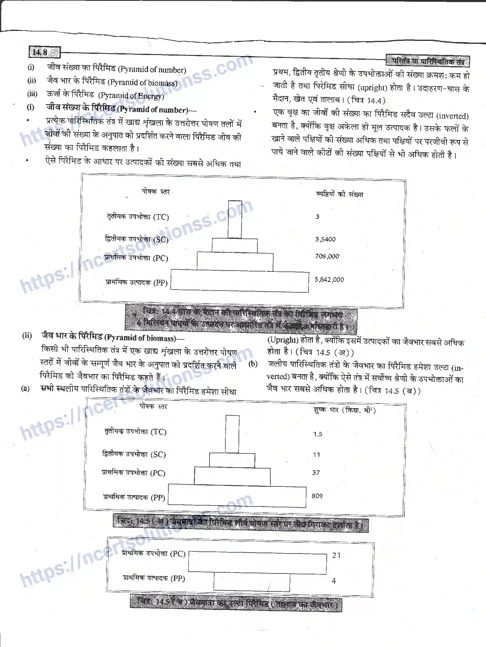 NCERT-Notes-Class-12-जीवand-विज्ञान-पारितंत्र-या-पारिस्थितिक-तंत्र-952-page-8