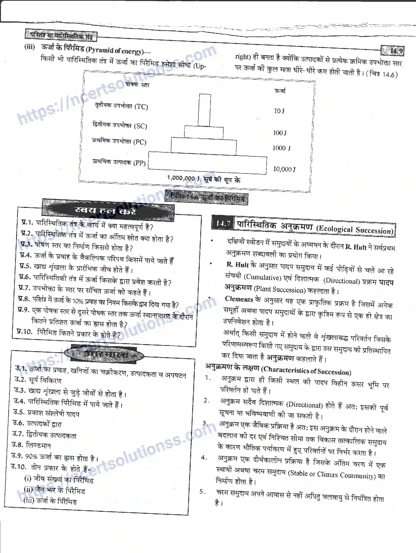 NCERT-Notes-Class-12-जीवand-विज्ञान-पारितंत्र-या-पारिस्थितिक-तंत्र-952-page-9