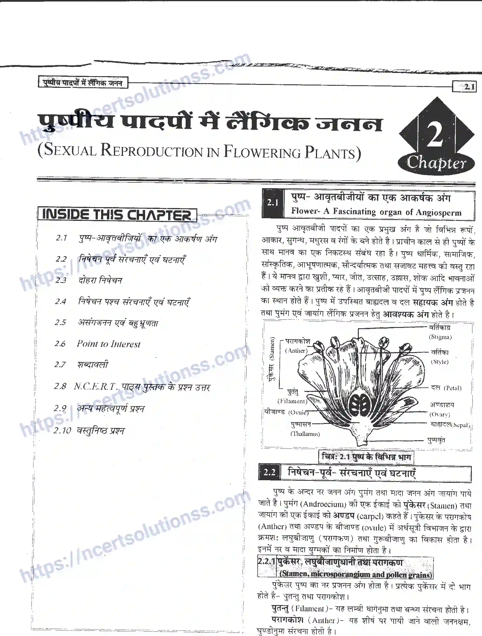 NCERT-Notes-Class-12-जीवand-विज्ञान-पुष्पीय-पादपों-में-लैंगिंक-जनन-940-page-1