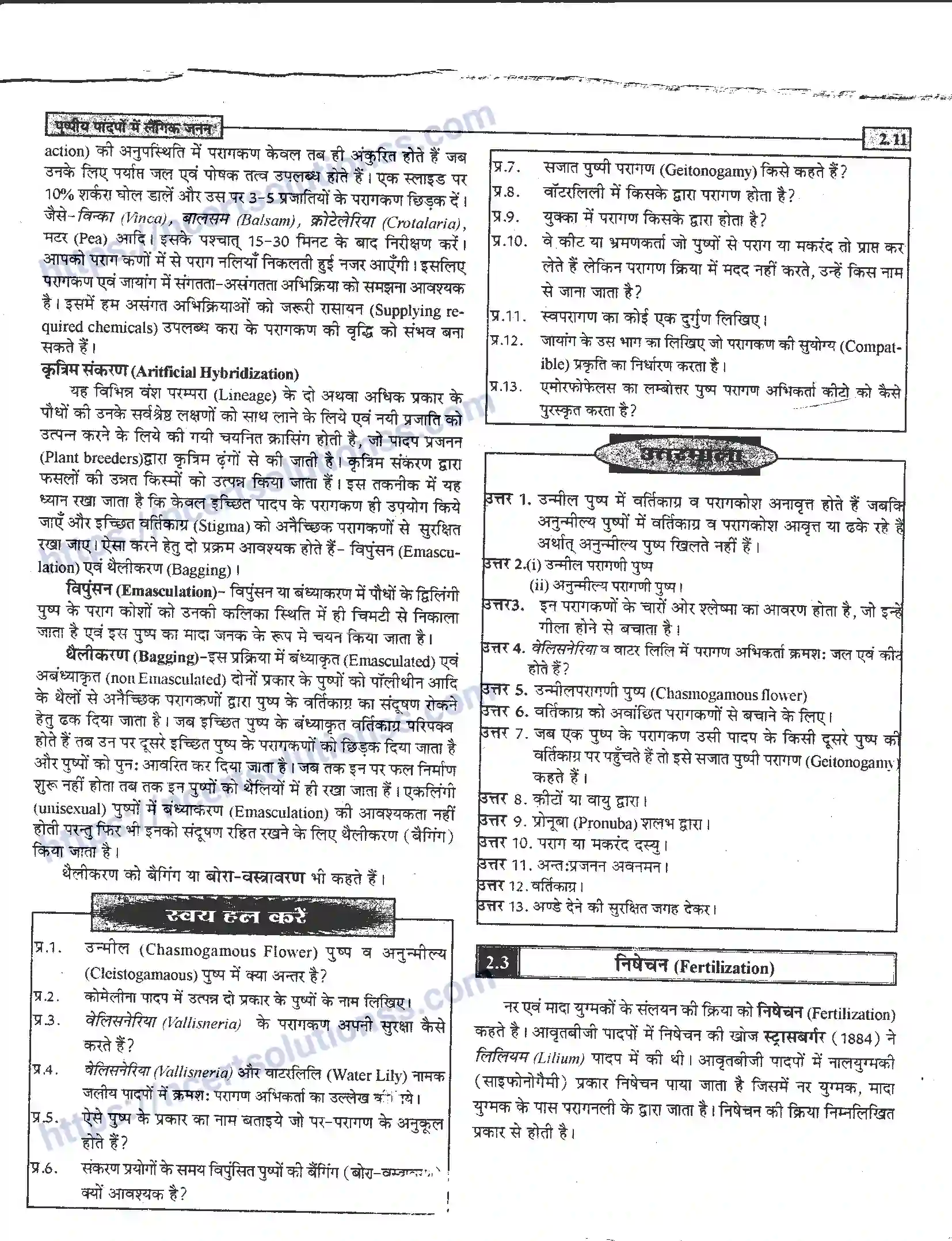 NCERT-Notes-Class-12-जीवand-विज्ञान-पुष्पीय-पादपों-में-लैंगिंक-जनन-940-page-11