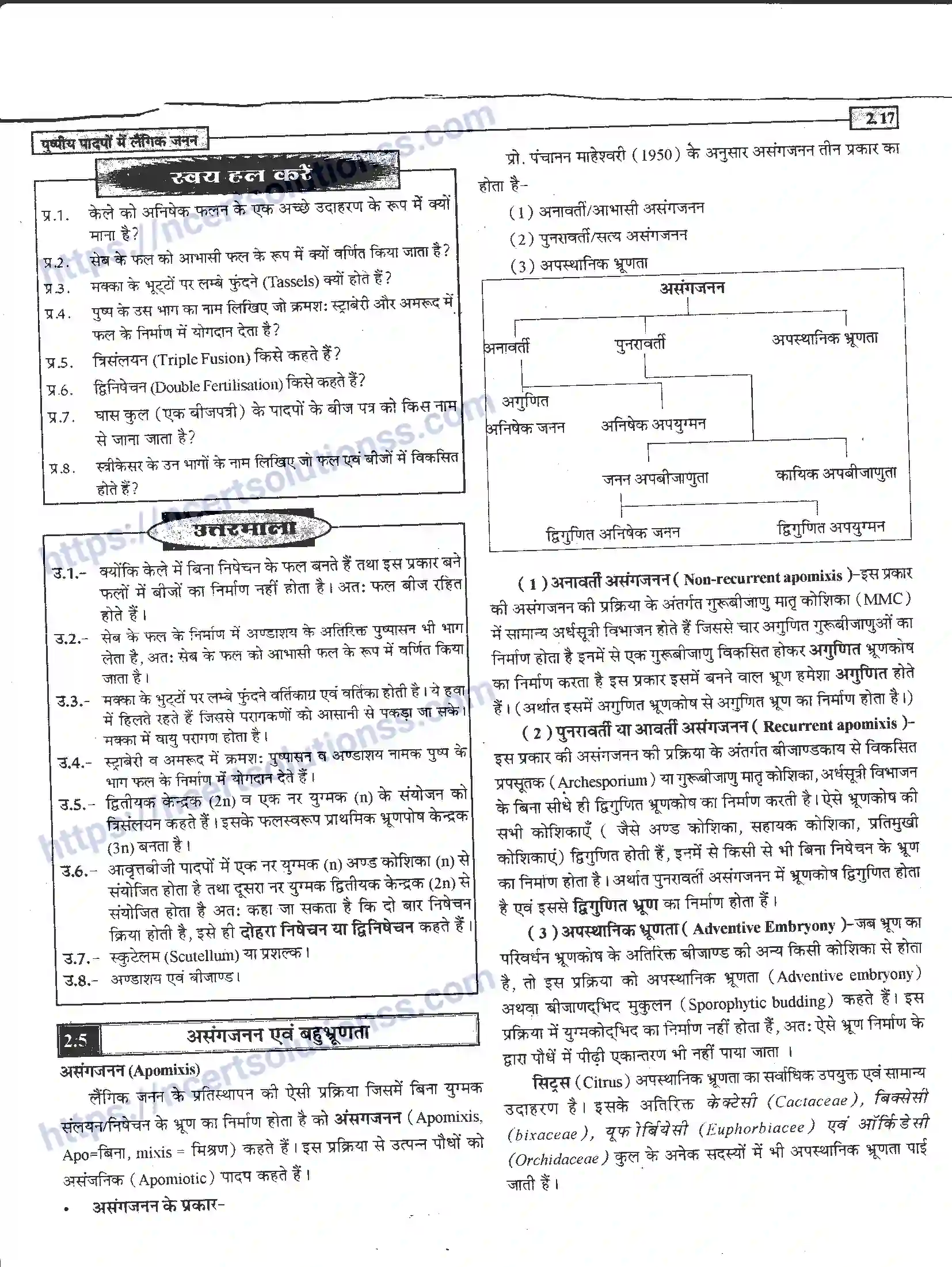 NCERT-Notes-Class-12-जीवand-विज्ञान-पुष्पीय-पादपों-में-लैंगिंक-जनन-940-page-17