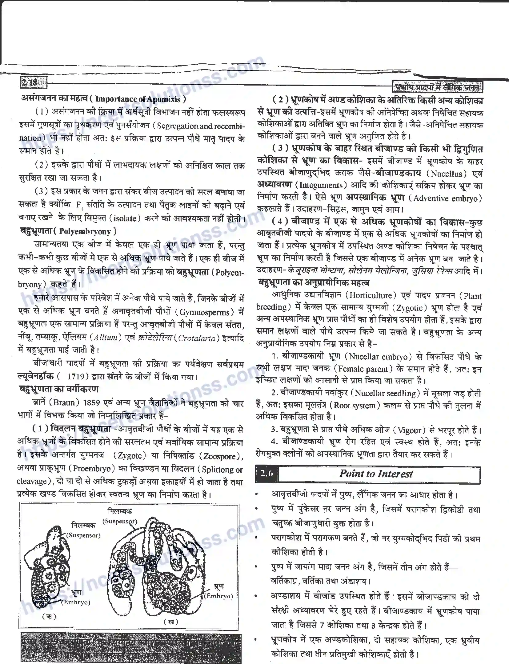 NCERT-Notes-Class-12-जीवand-विज्ञान-पुष्पीय-पादपों-में-लैंगिंक-जनन-940-page-18