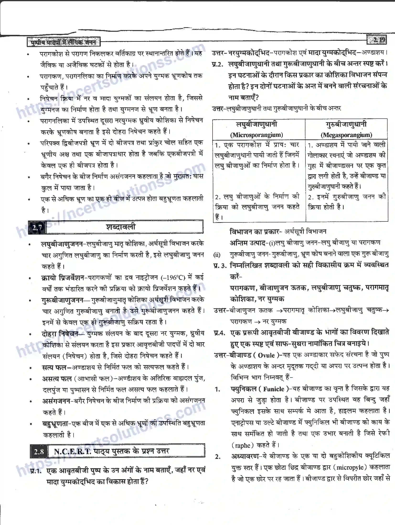 NCERT-Notes-Class-12-जीवand-विज्ञान-पुष्पीय-पादपों-में-लैंगिंक-जनन-940-page-19
