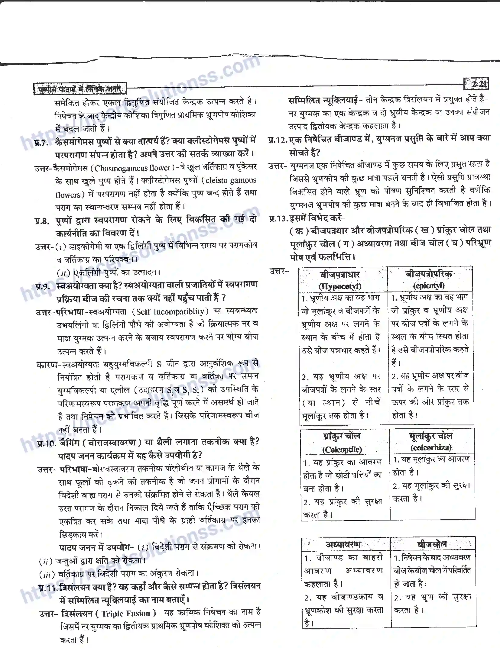 NCERT-Notes-Class-12-जीवand-विज्ञान-पुष्पीय-पादपों-में-लैंगिंक-जनन-940-page-21