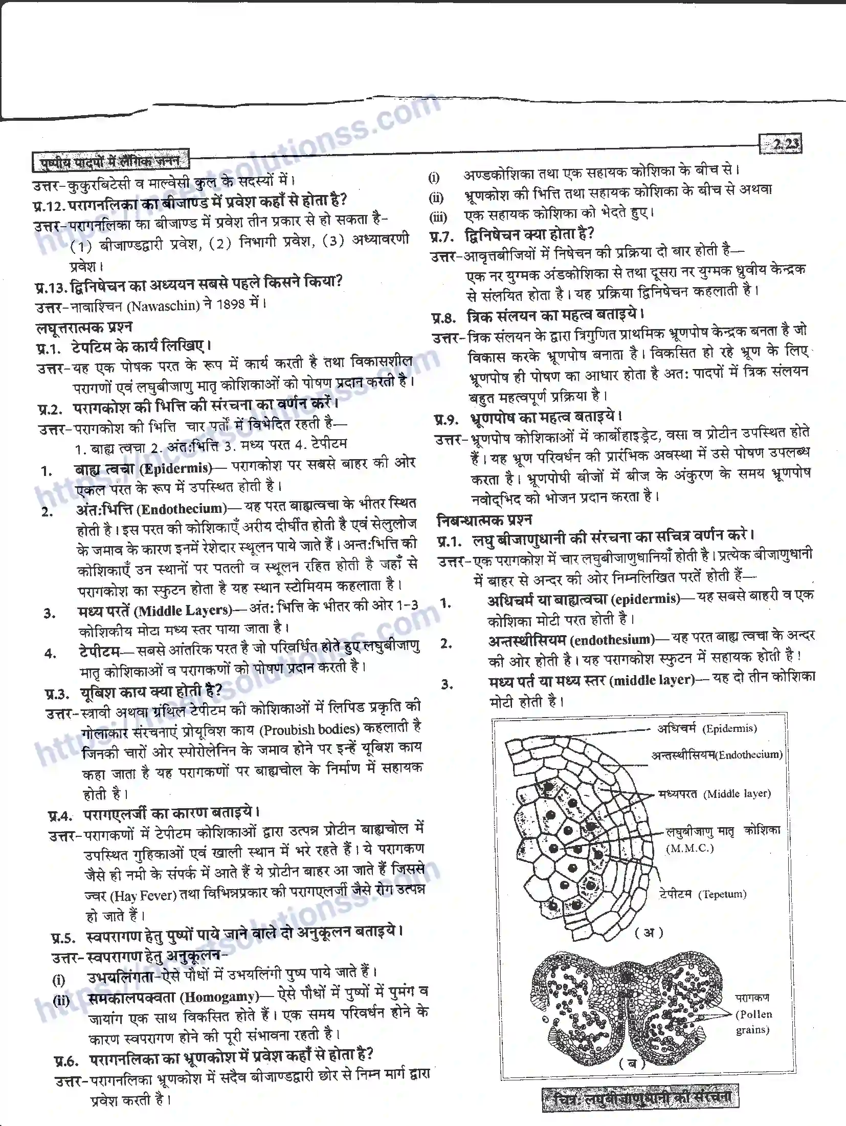NCERT-Notes-Class-12-जीवand-विज्ञान-पुष्पीय-पादपों-में-लैंगिंक-जनन-940-page-23