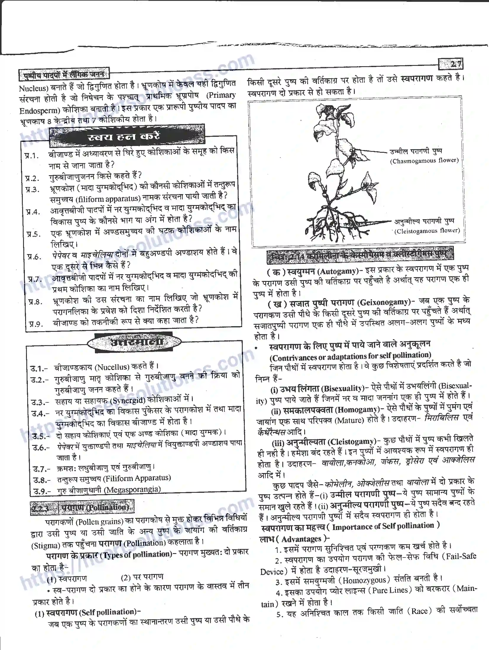 NCERT-Notes-Class-12-जीवand-विज्ञान-पुष्पीय-पादपों-में-लैंगिंक-जनन-940-page-7
