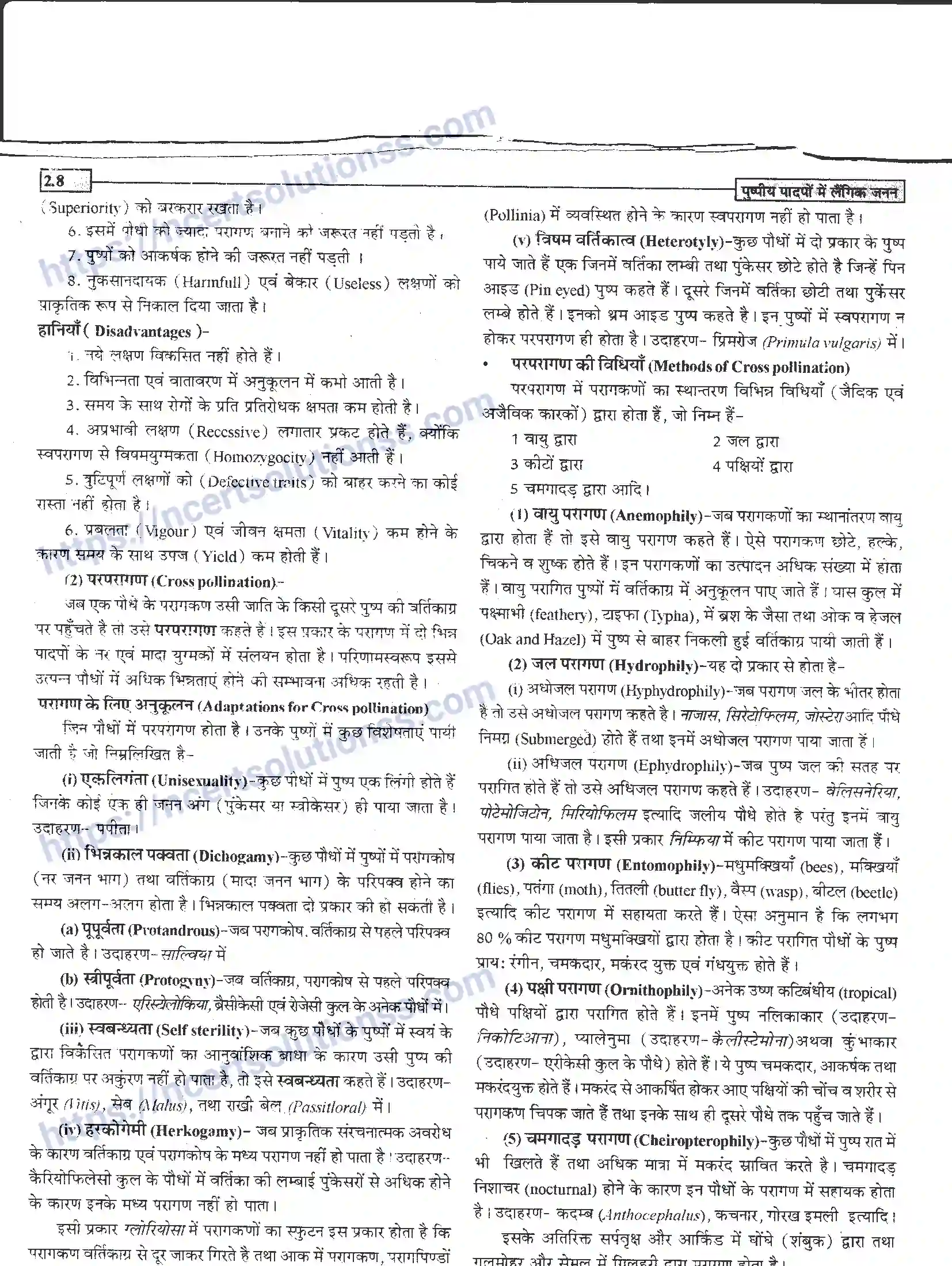 NCERT-Notes-Class-12-जीवand-विज्ञान-पुष्पीय-पादपों-में-लैंगिंक-जनन-940-page-8