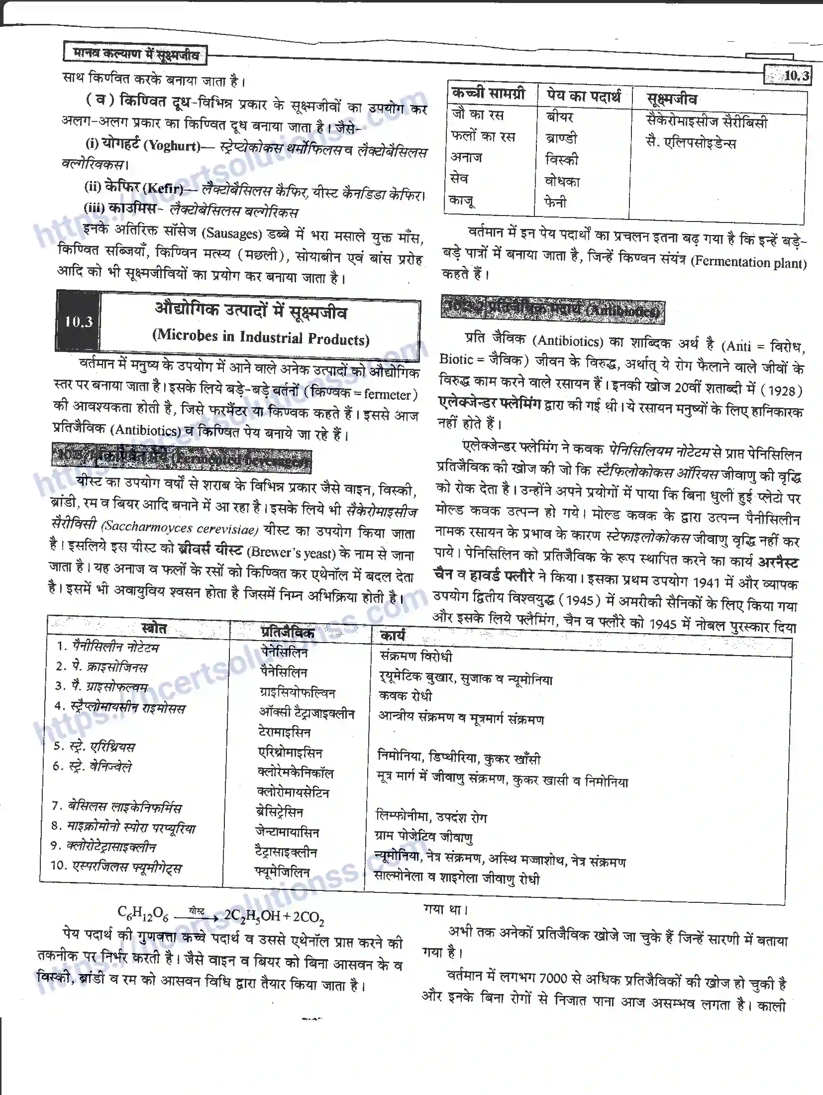 NCERT-Notes-Class-12-जीवand-विज्ञान-मानव-कल्याण-में-सूक्ष्मजीव-948-page-3