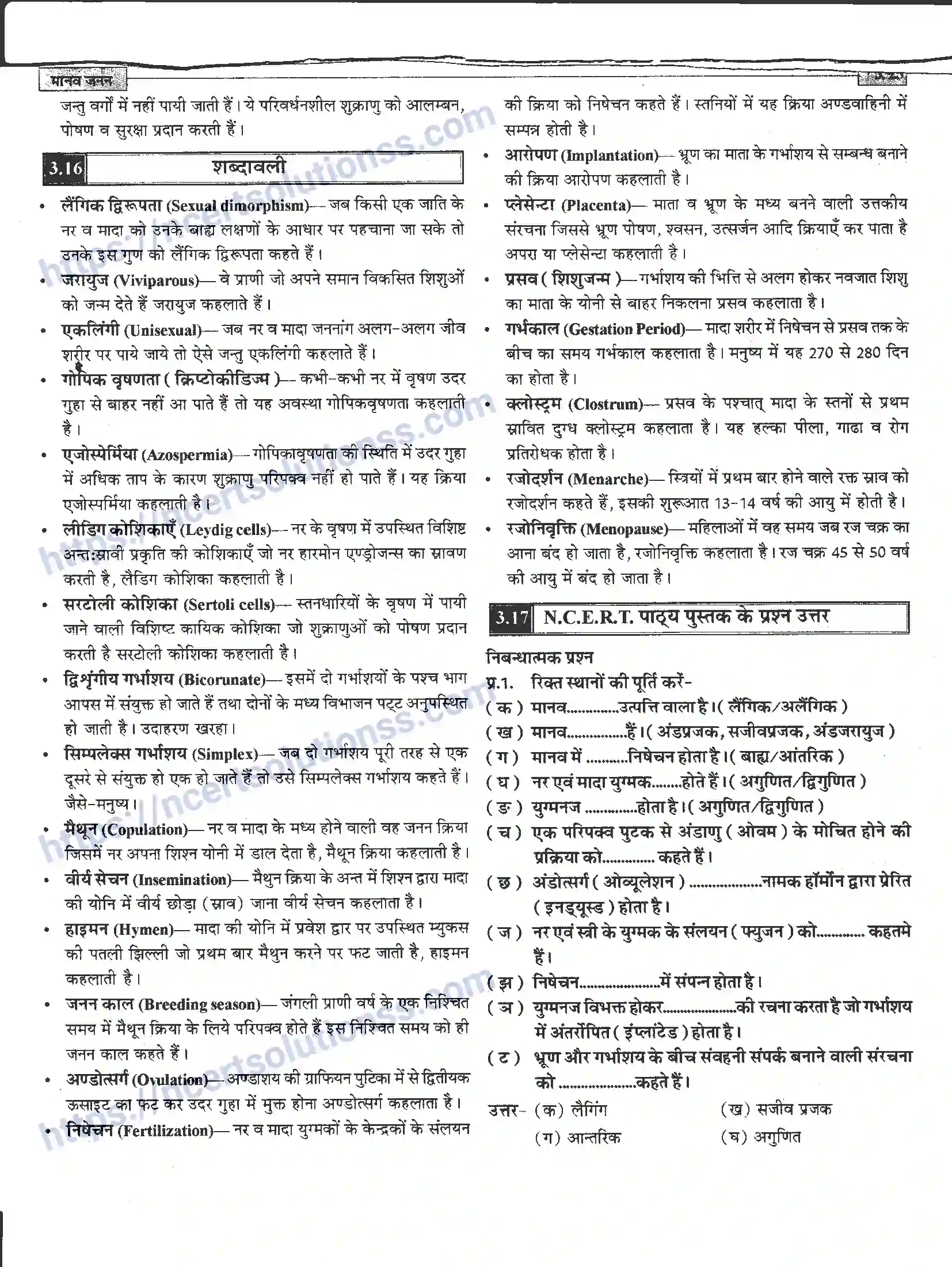 NCERT-Notes-Class-12-जीवand-विज्ञान-मानव-जनन-941-page-25