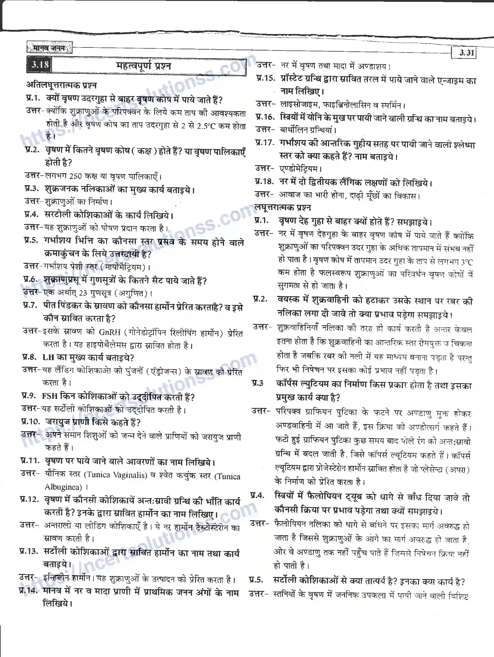 NCERT-Notes-Class-12-जीवand-विज्ञान-मानव-जनन-941-page-31