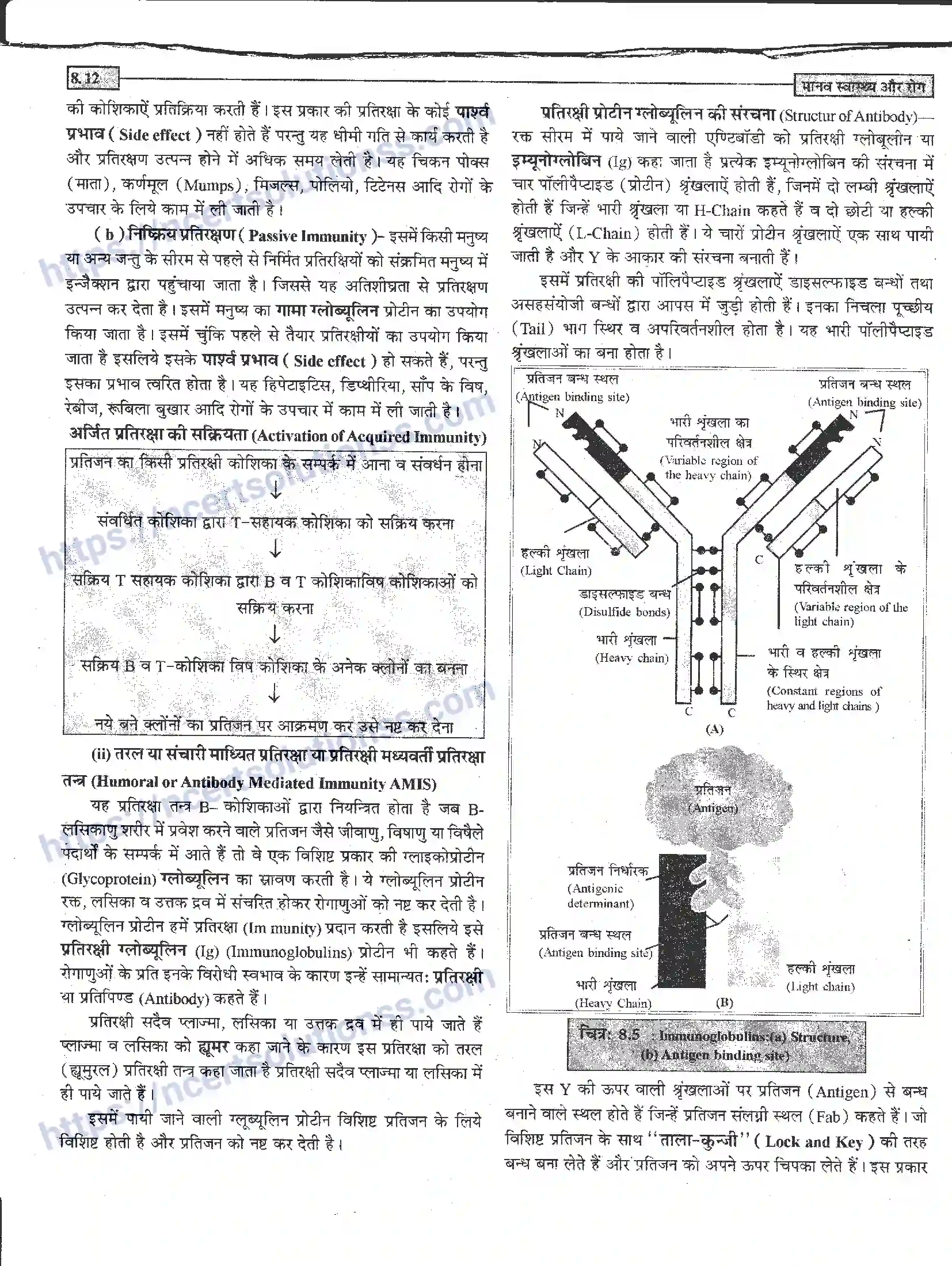 NCERT-Notes-Class-12-जीवand-विज्ञान-मानव-स्वास्थ-और-रोग-946-page-12