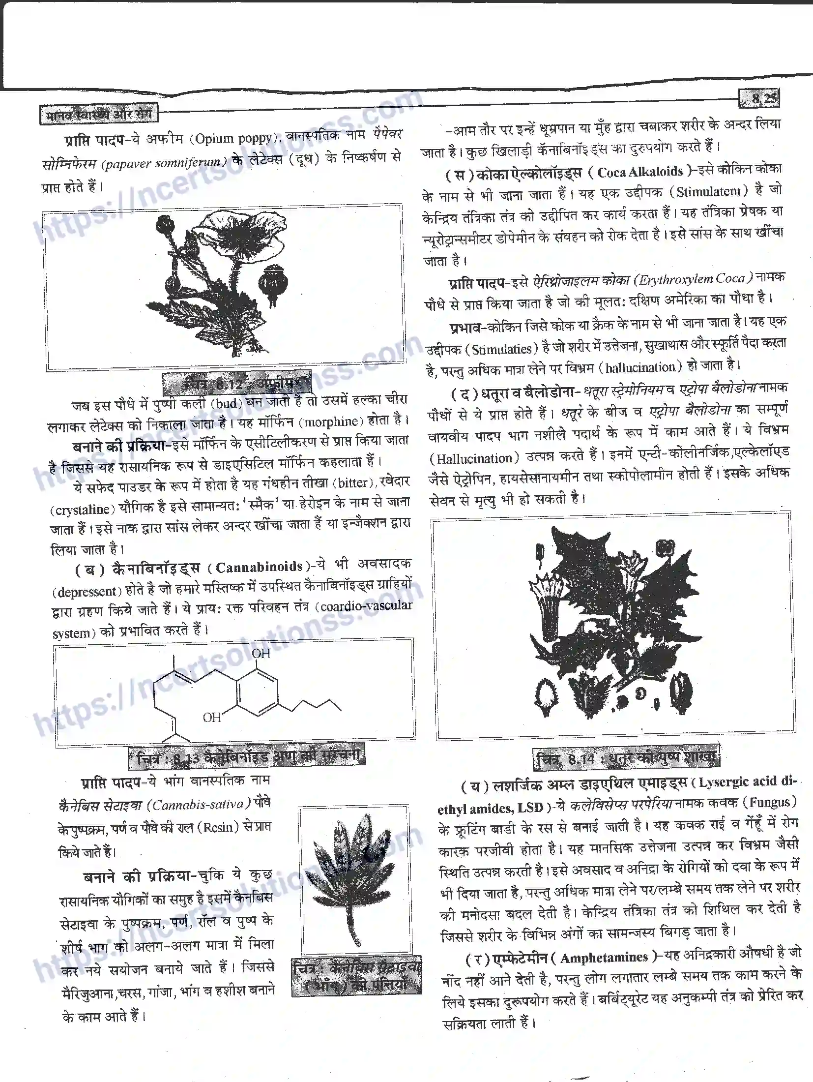NCERT-Notes-Class-12-जीवand-विज्ञान-मानव-स्वास्थ-और-रोग-946-page-25