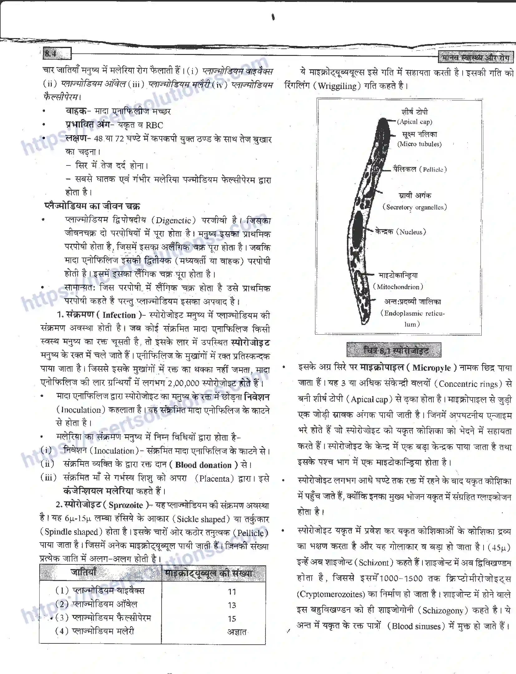 NCERT-Notes-Class-12-जीवand-विज्ञान-मानव-स्वास्थ-और-रोग-946-page-4