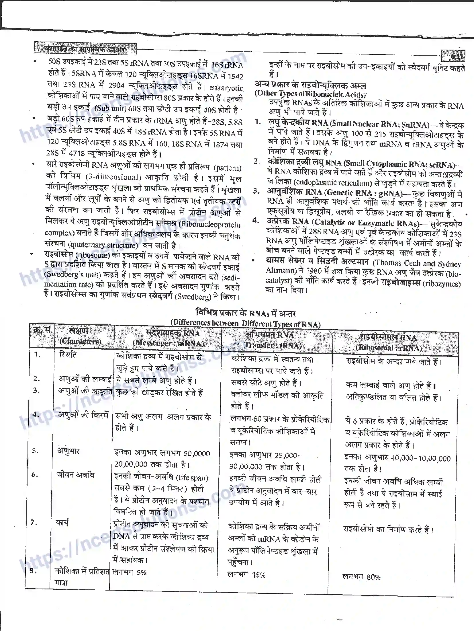 NCERT-Notes-Class-12-जीवand-विज्ञान-वंशागति-का-आणविक-आधार-944-page-11