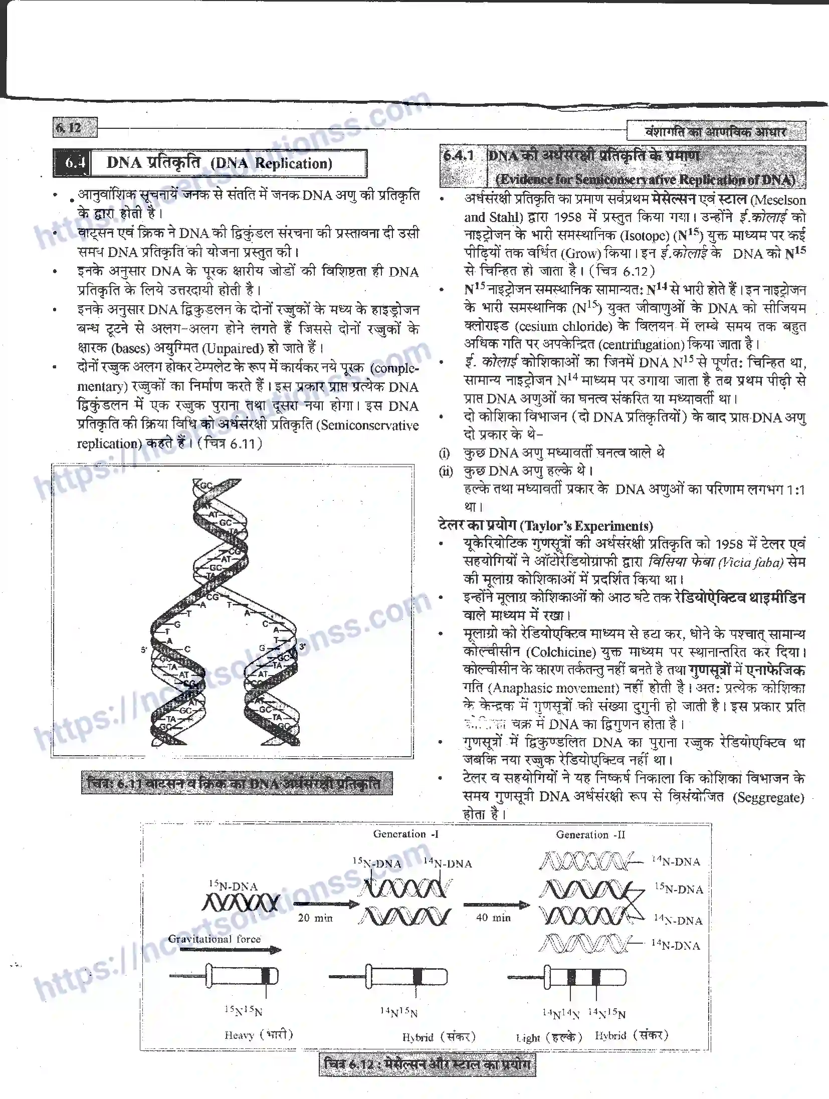 NCERT-Notes-Class-12-जीवand-विज्ञान-वंशागति-का-आणविक-आधार-944-page-12
