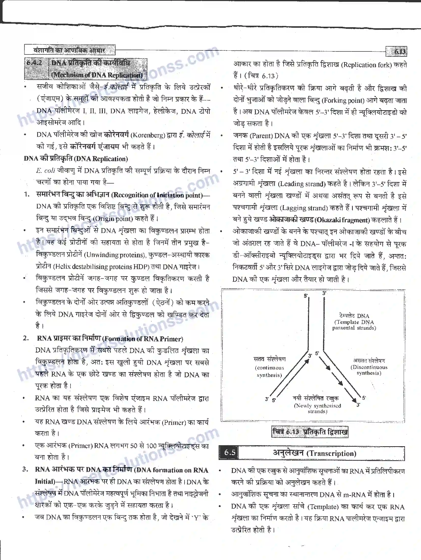 NCERT-Notes-Class-12-जीवand-विज्ञान-वंशागति-का-आणविक-आधार-944-page-13