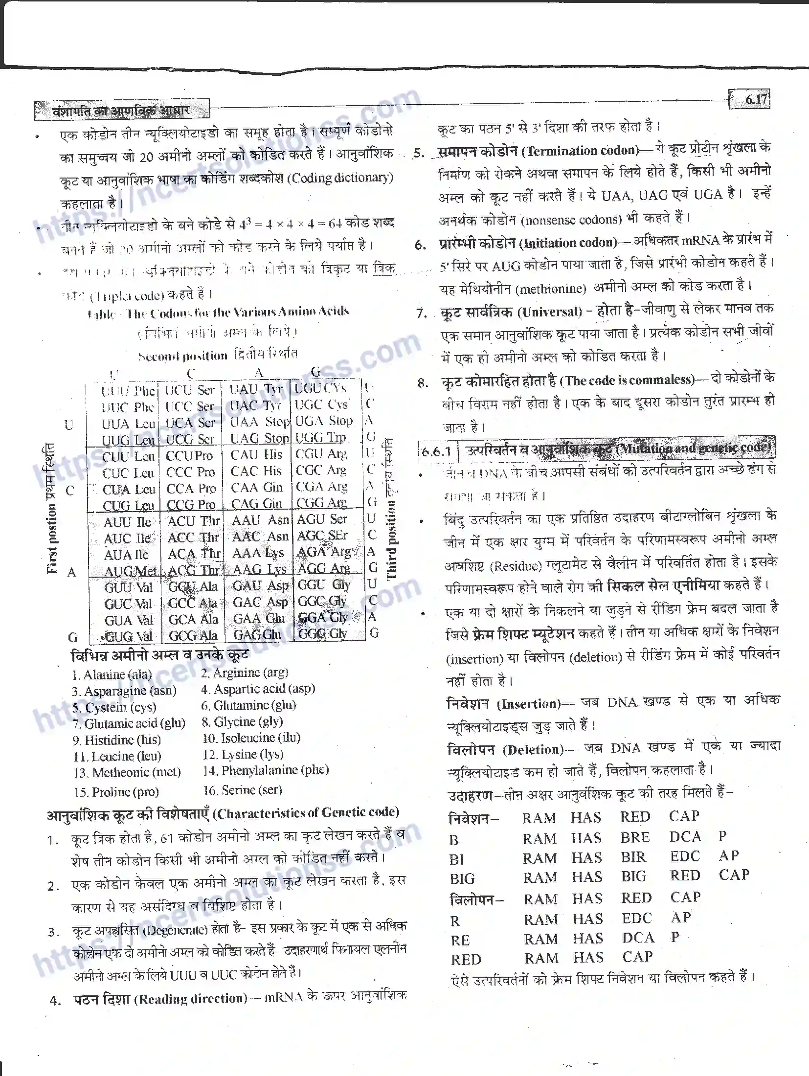 NCERT-Notes-Class-12-जीवand-विज्ञान-वंशागति-का-आणविक-आधार-944-page-17